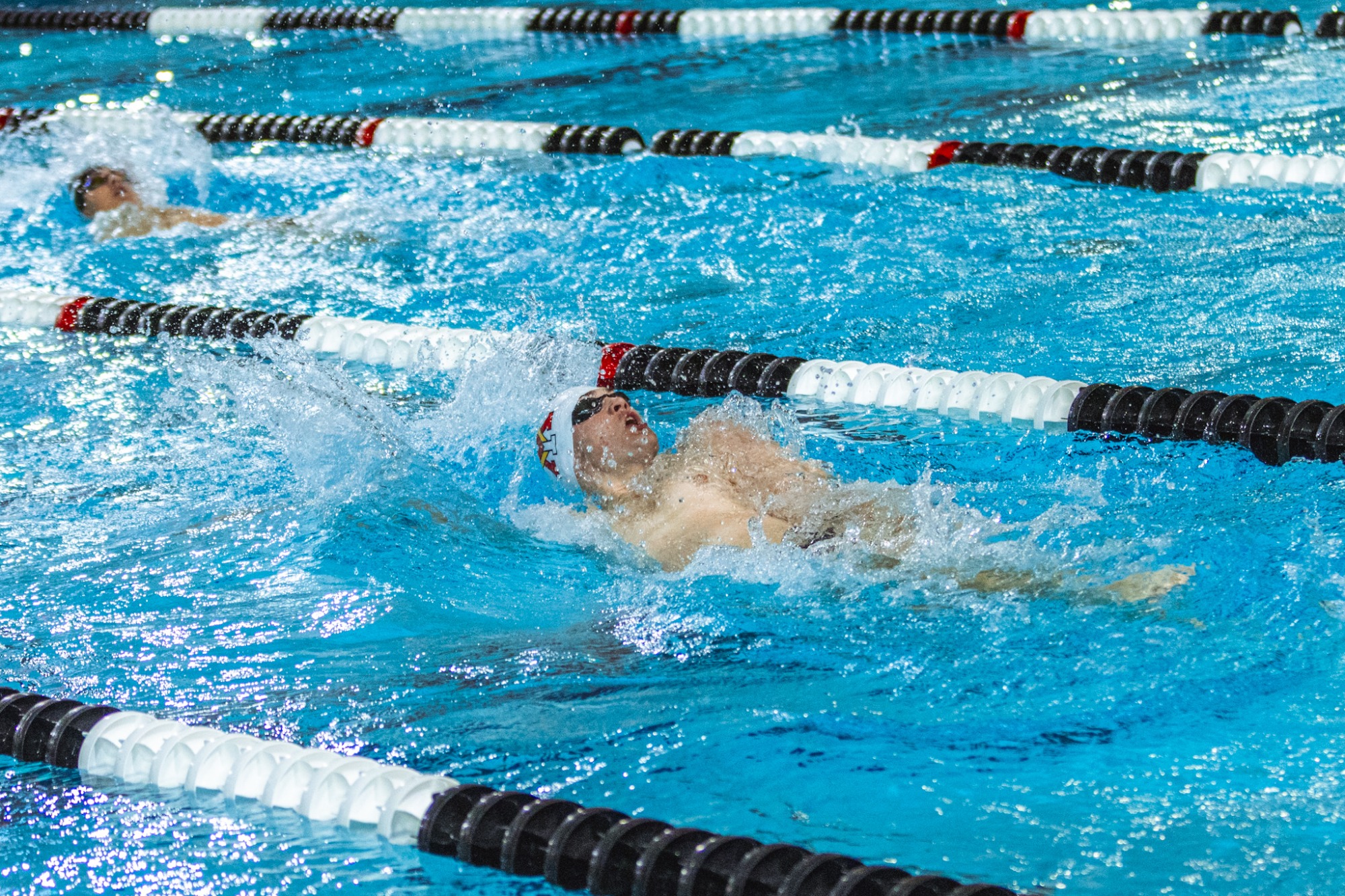 VMI Swim & Dive vs. Davidson Action Shot