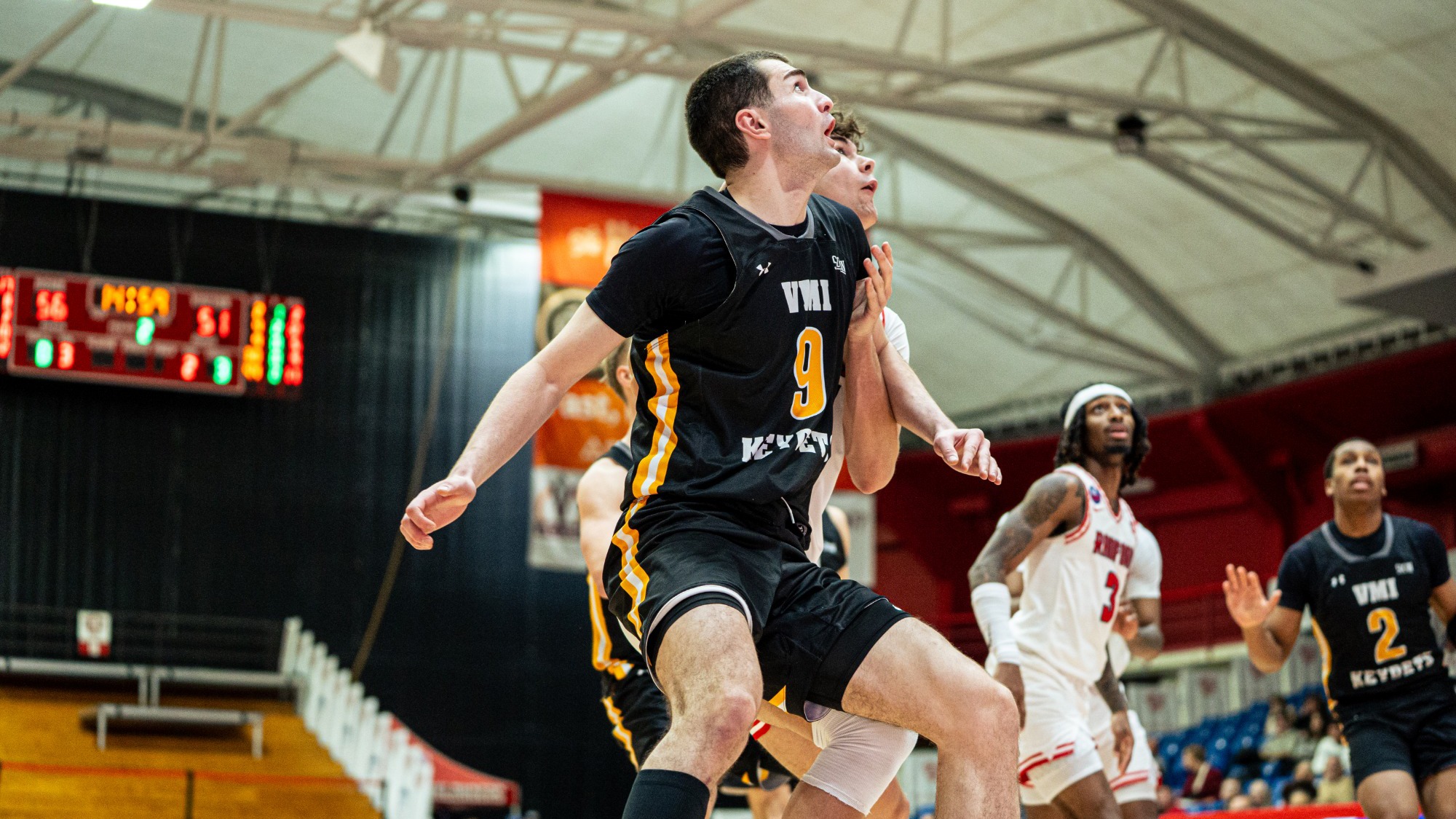 daushvili vs. radford