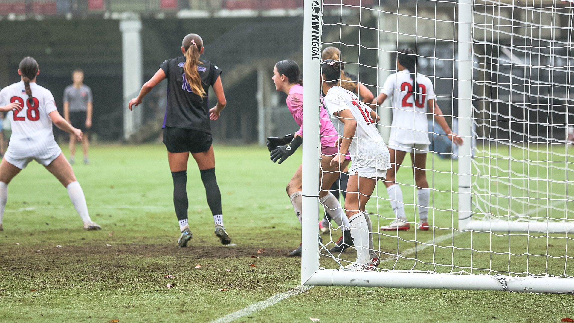 ryberg vs. wcu