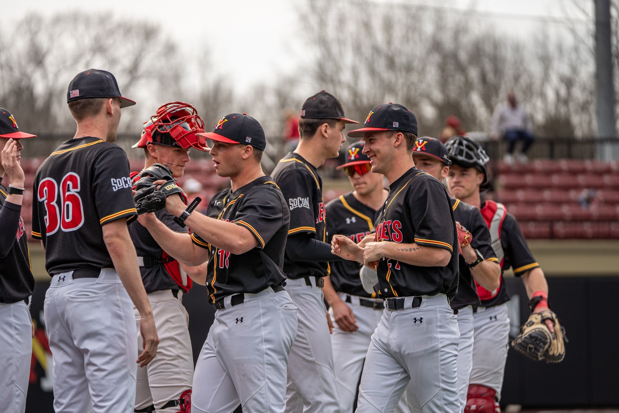 VMI Baseball vs. Cornell - Bassett, team (story)