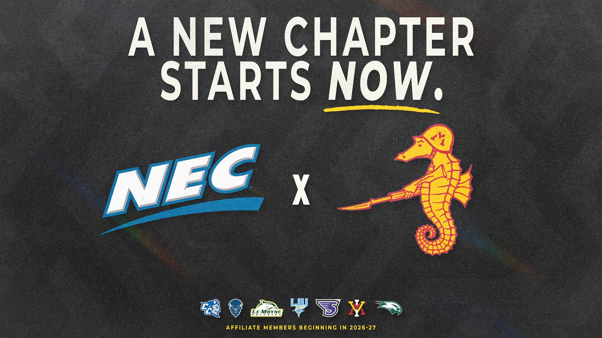 VMI Swimming & Diving x NEC Announcement Graphic