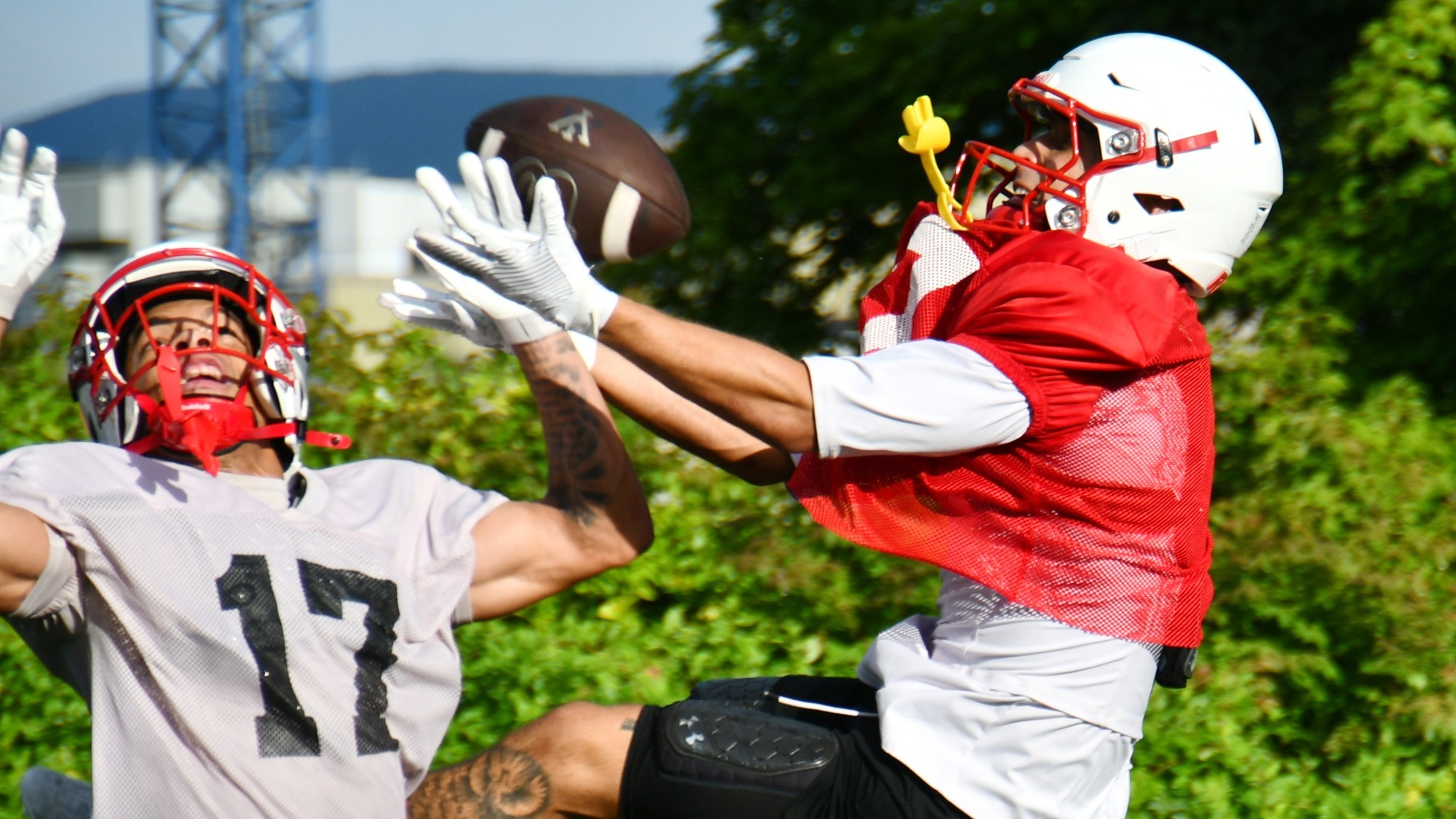 wide receivers camp report