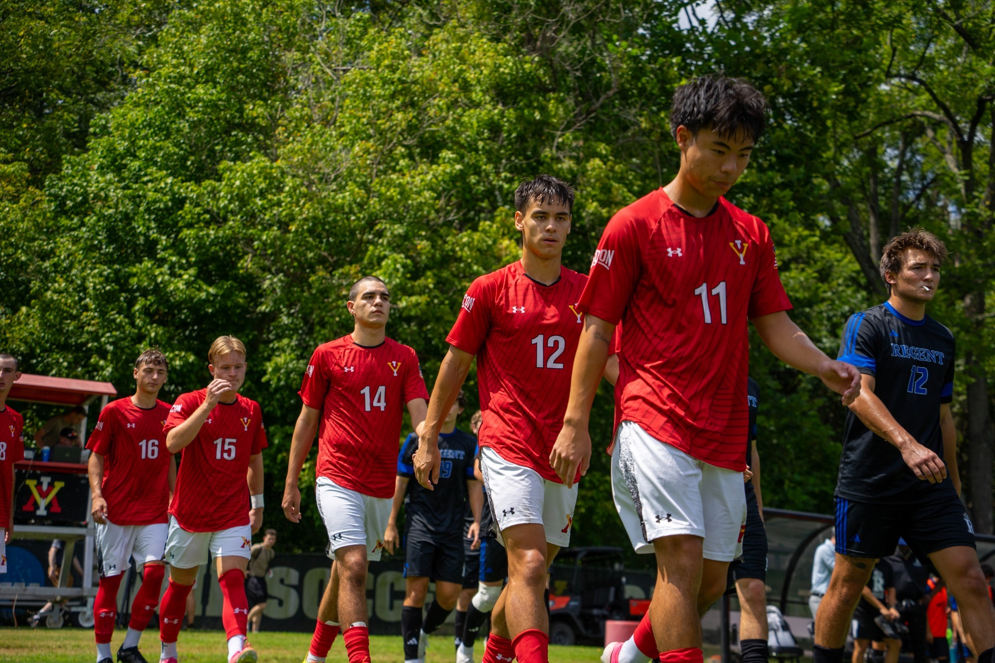 team vs. regent