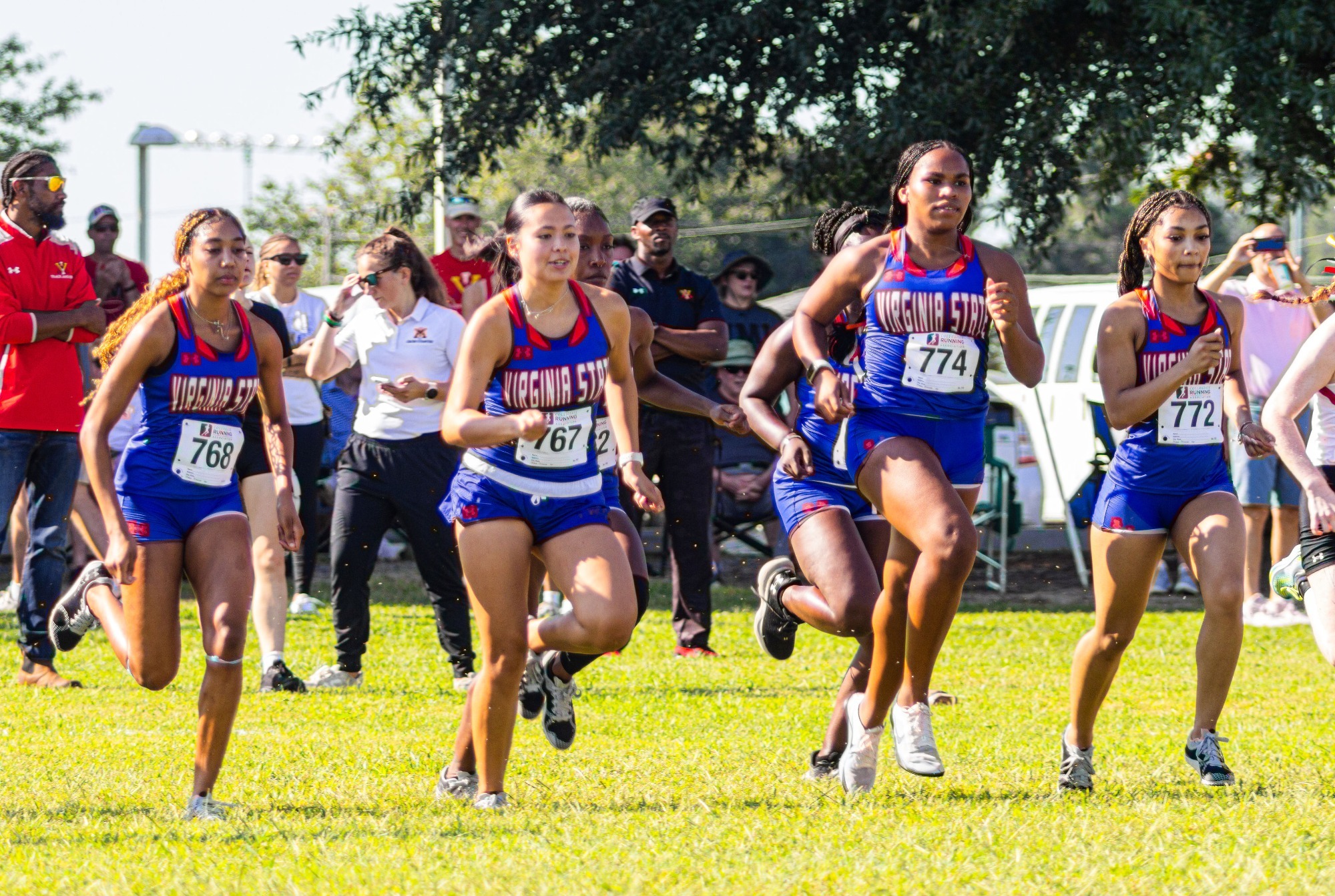 wxc-team