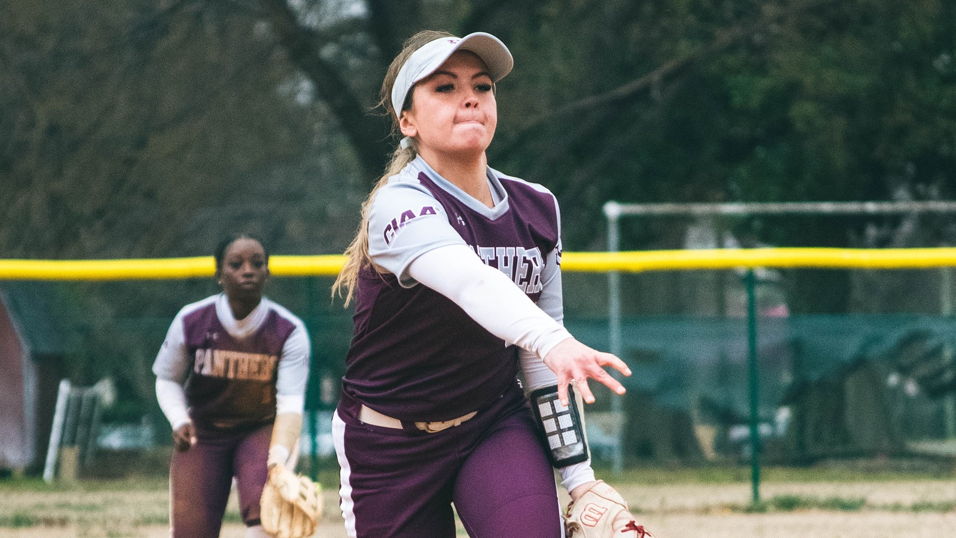 Softball Chestnut Hill