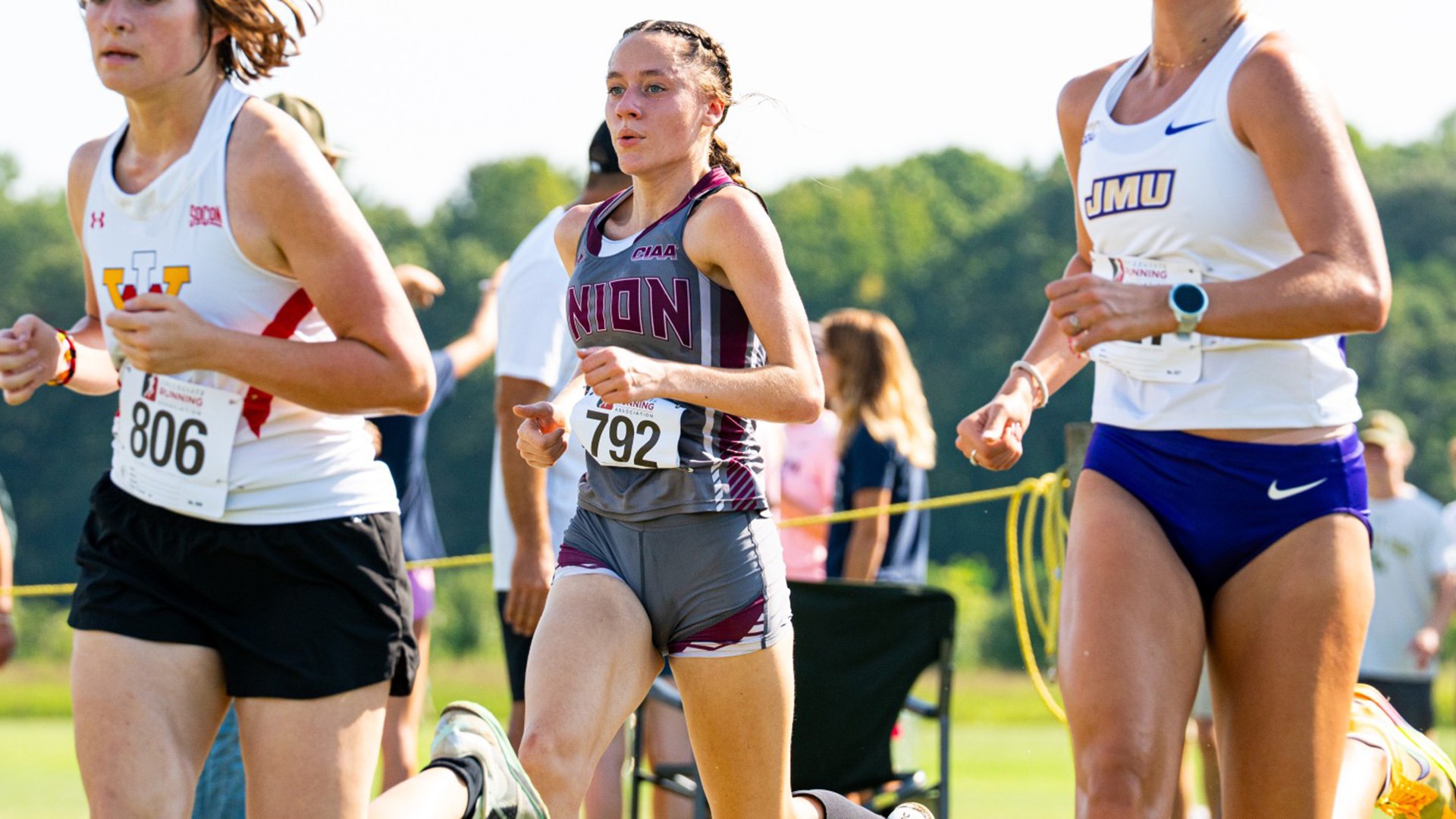 WXC Spider