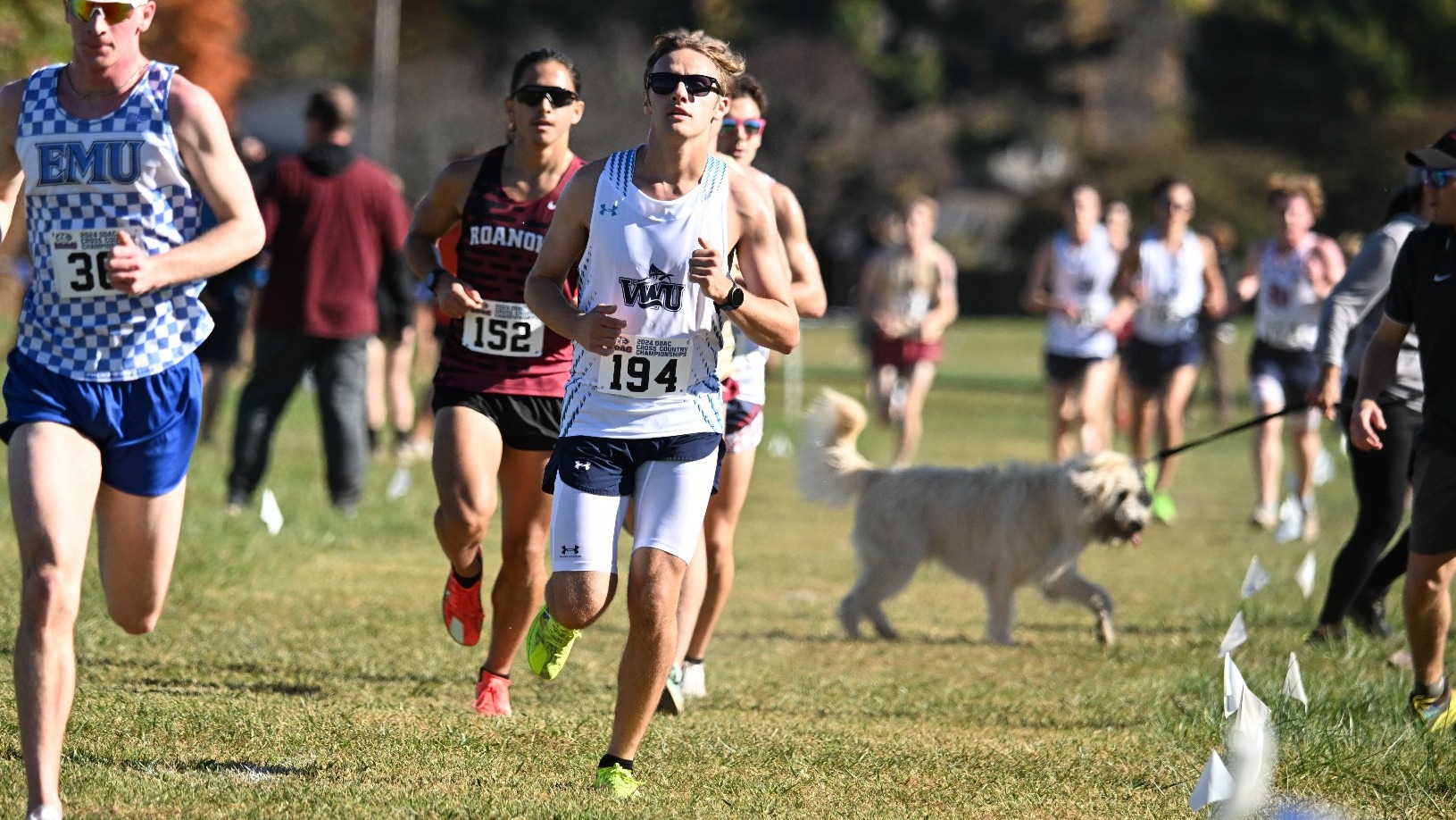 Casey Runs