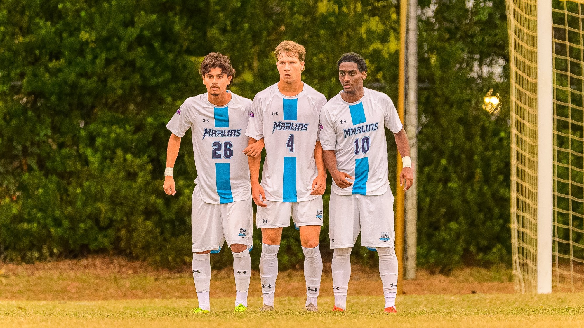 msoc