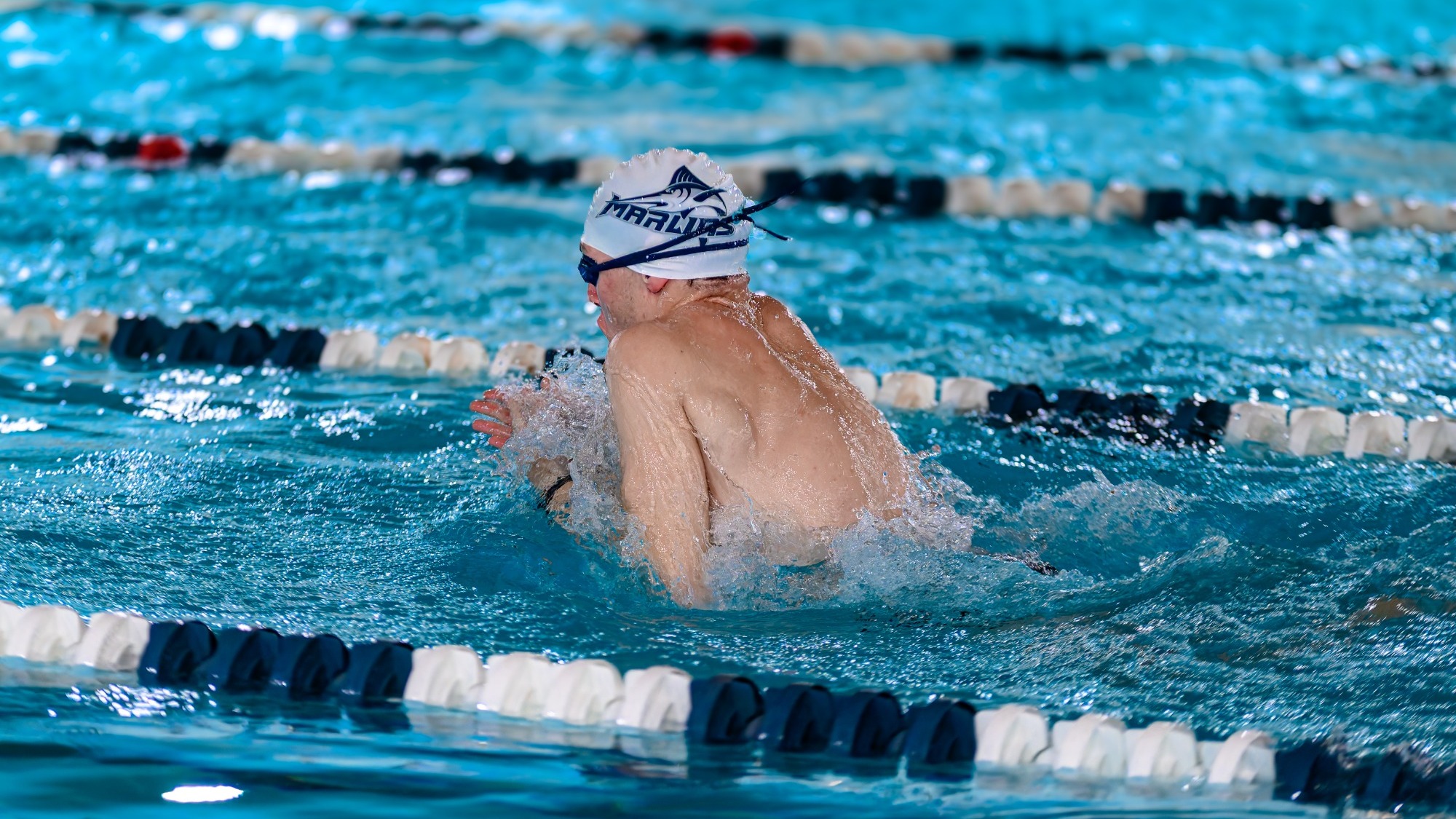 mswim