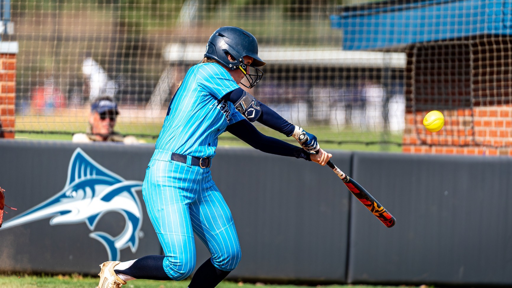 Sarah Prosser Swings