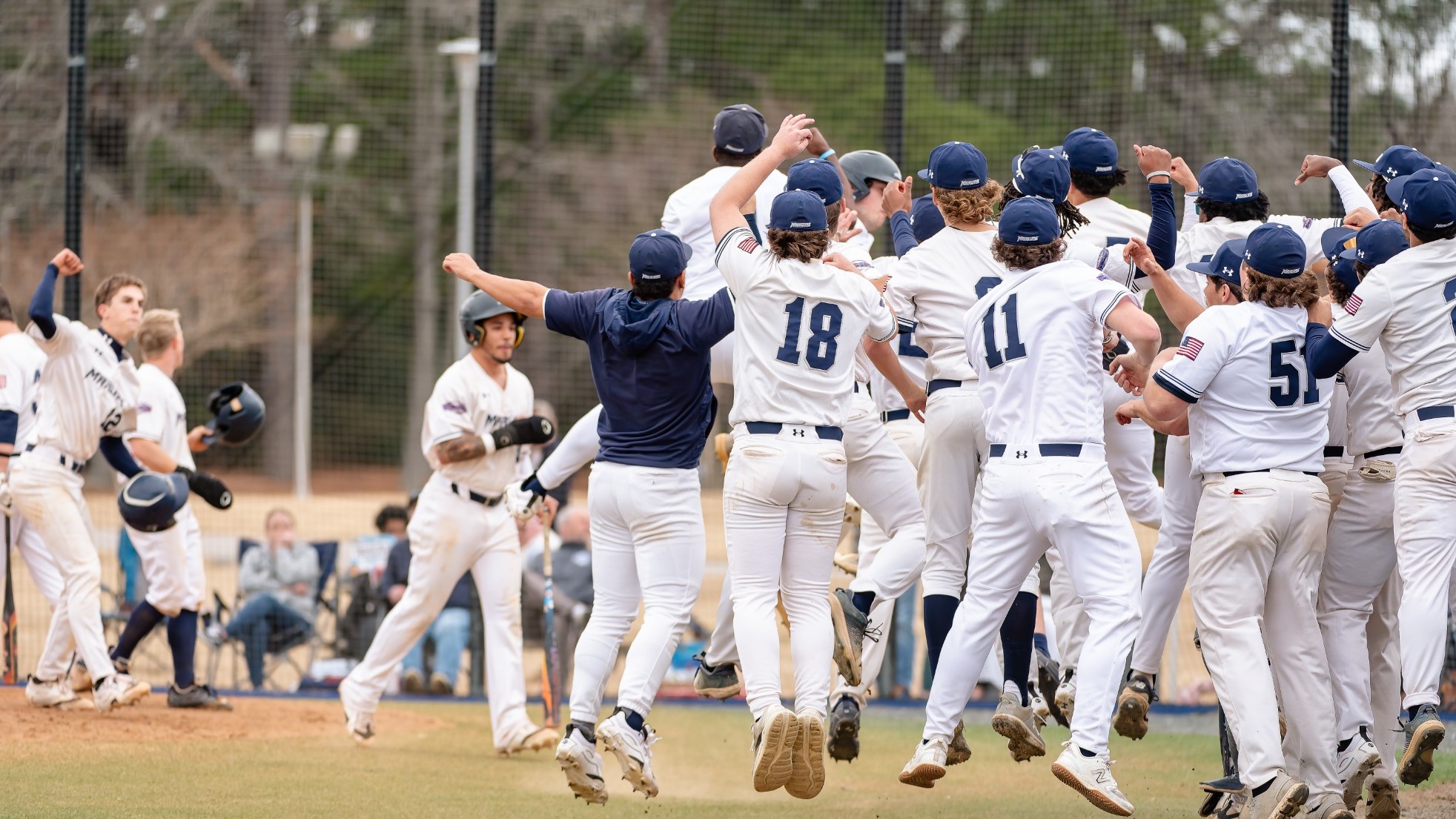 baseball celebrates