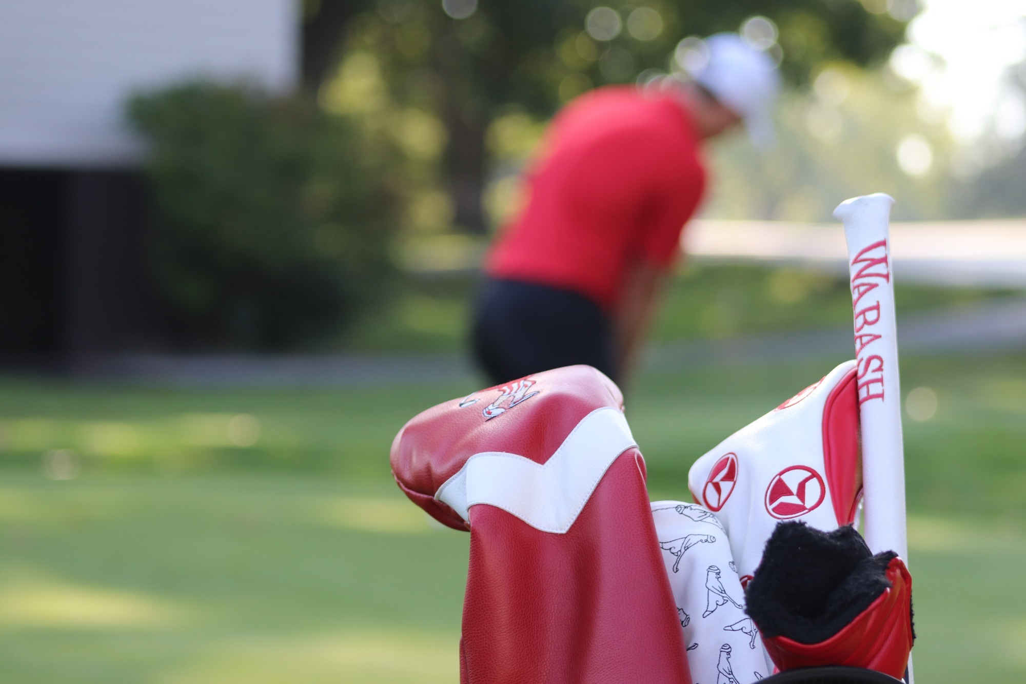Wabash Golf bag with player in the background