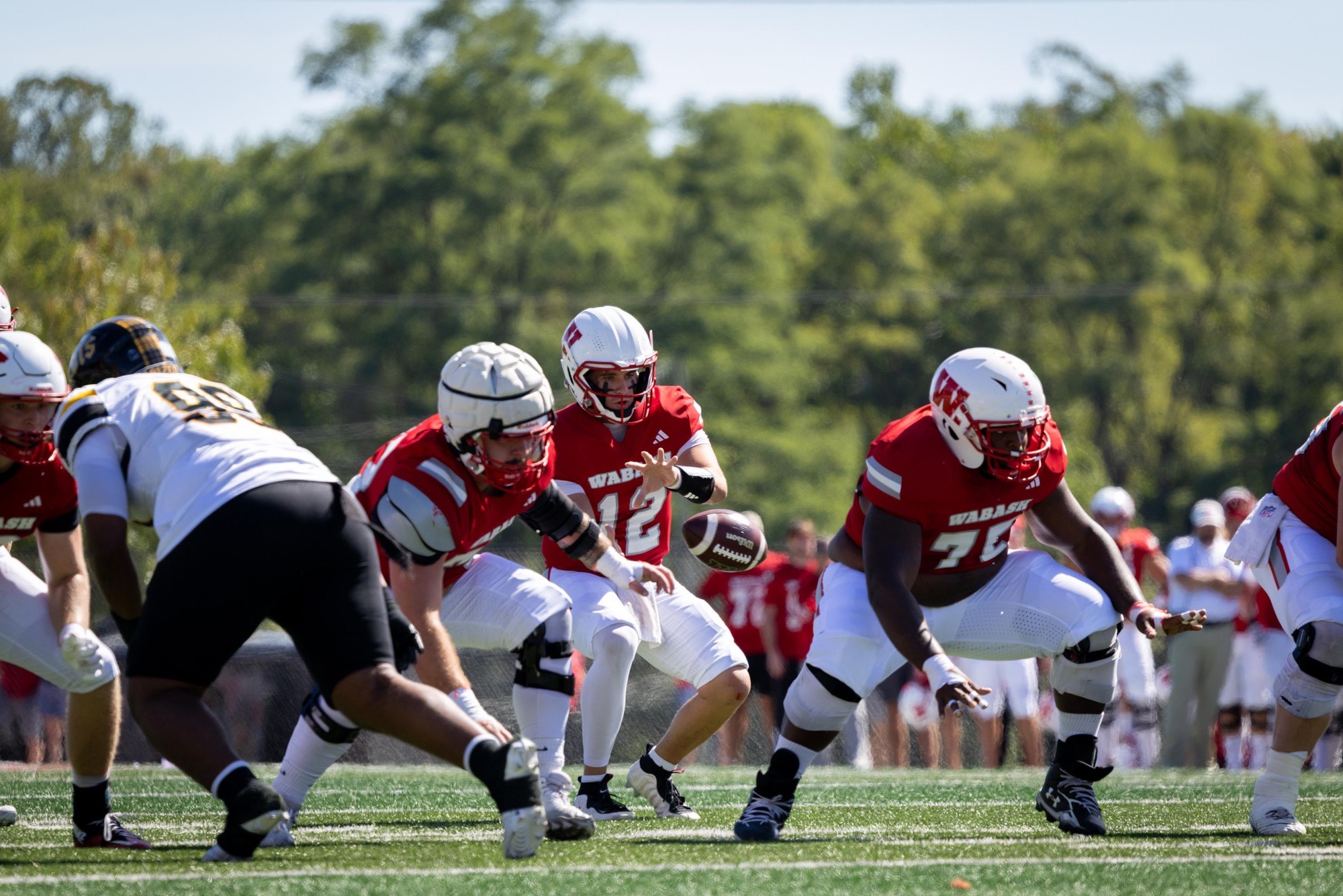 Brand Campbell takes the snap from center.