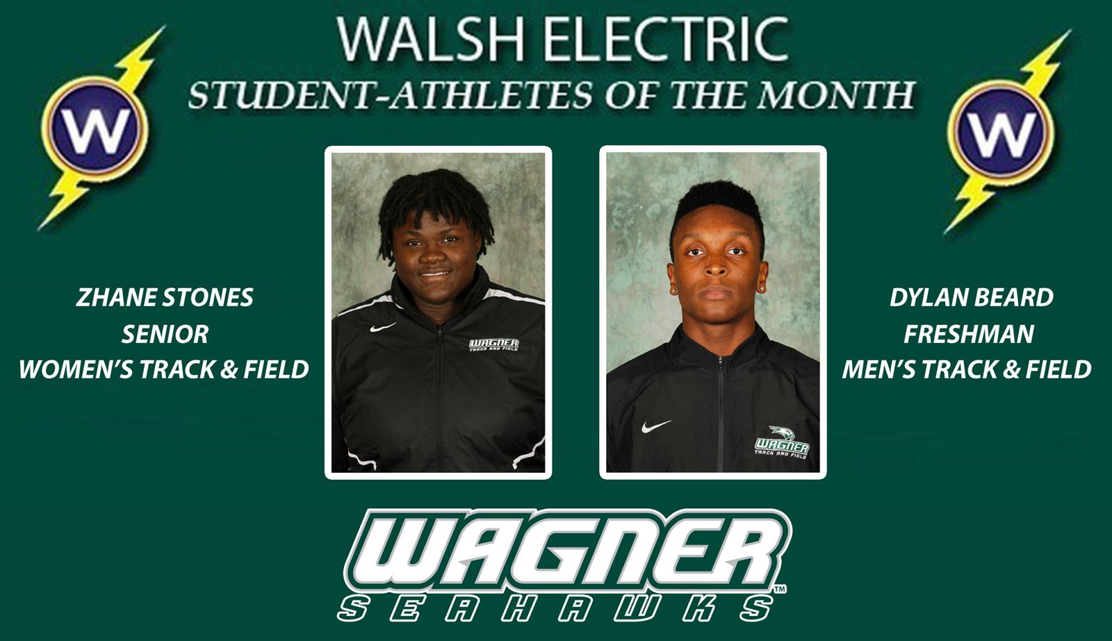 January 2017 SA of the Month