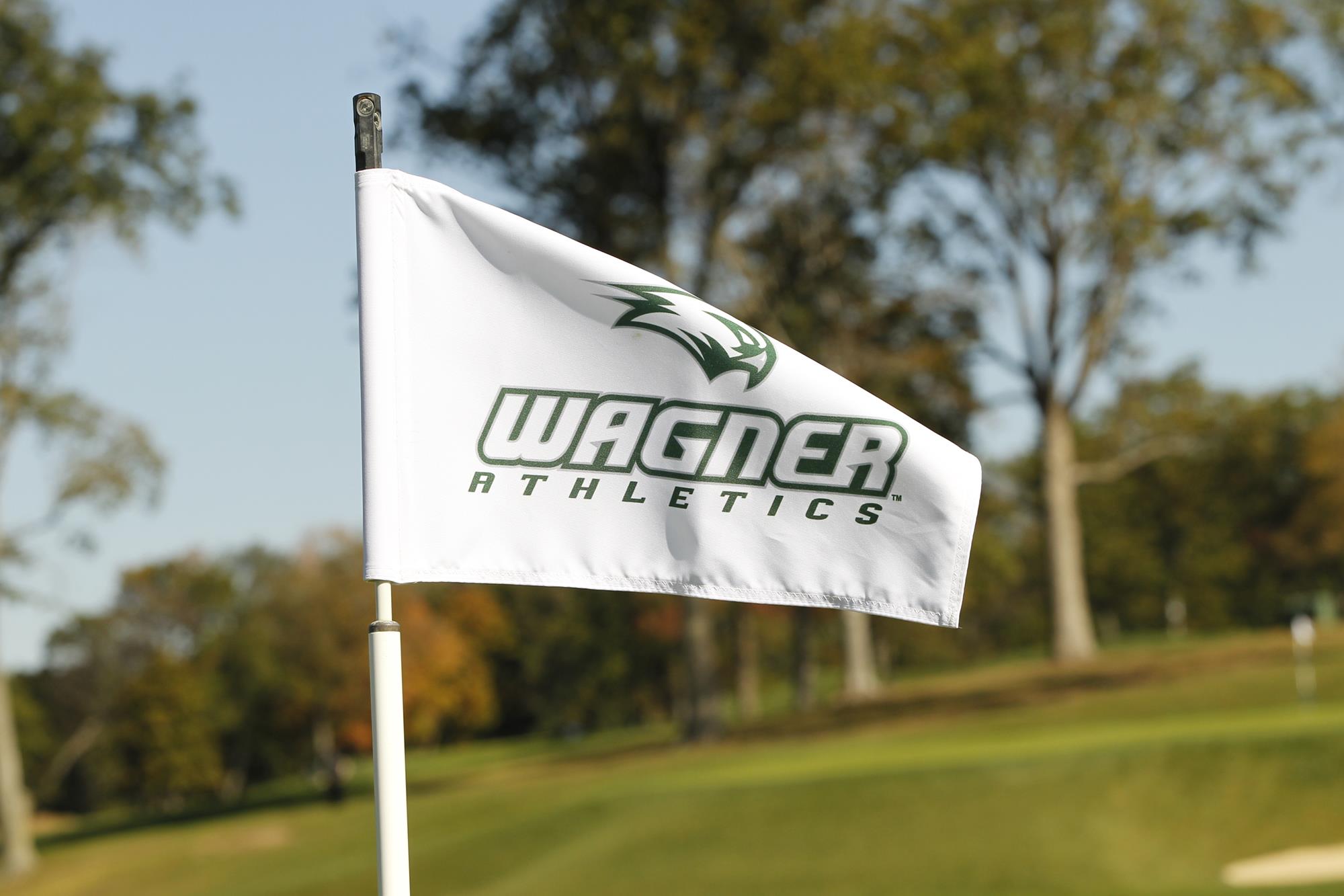 Golf Flag - Cropped