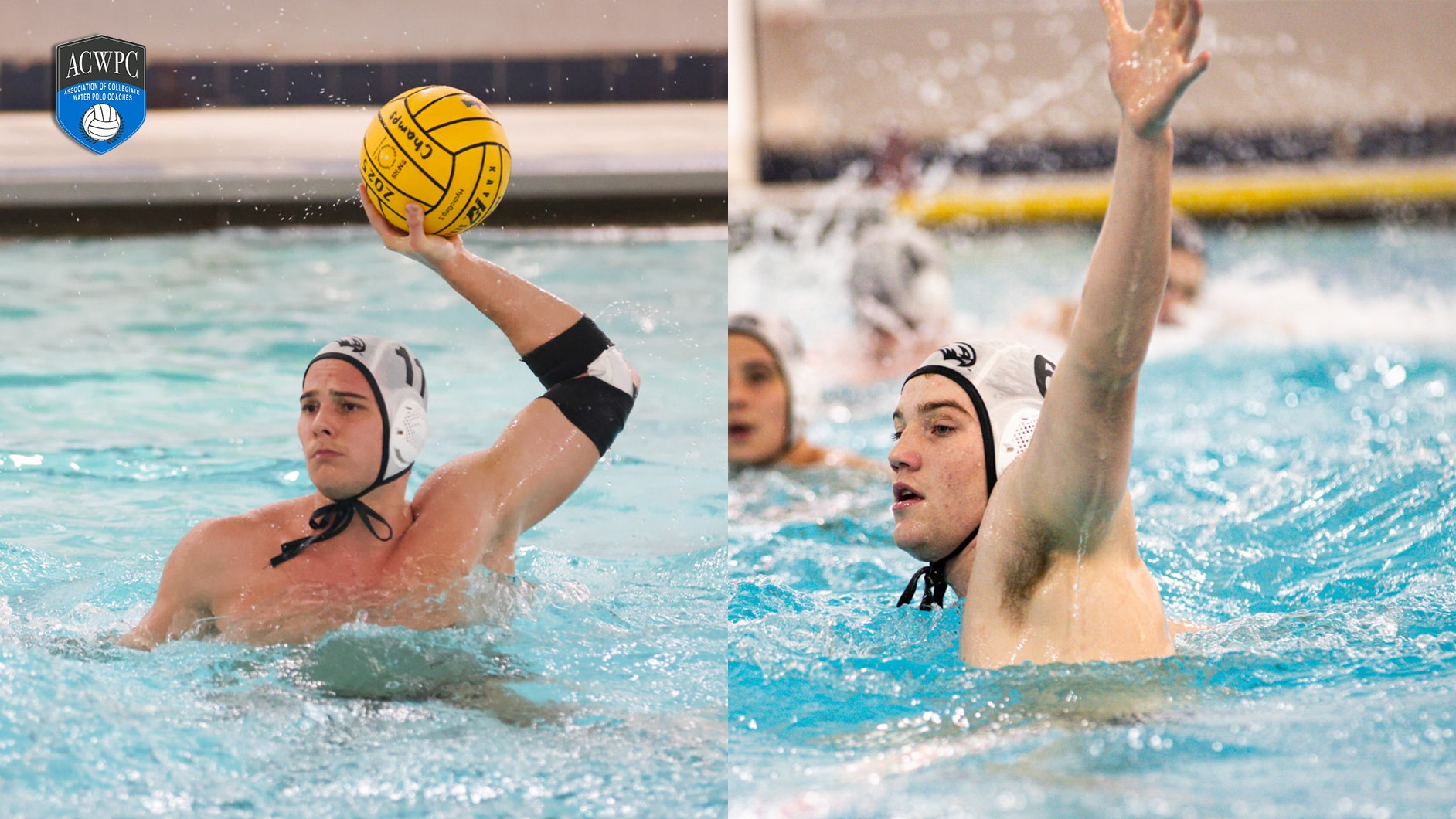 All America Honorable Mention