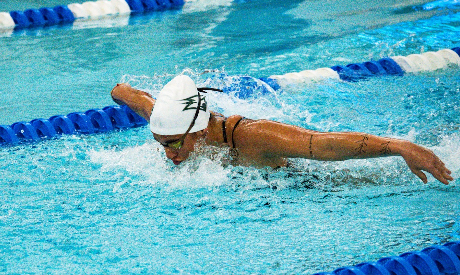 Swimming @ Seton Hall