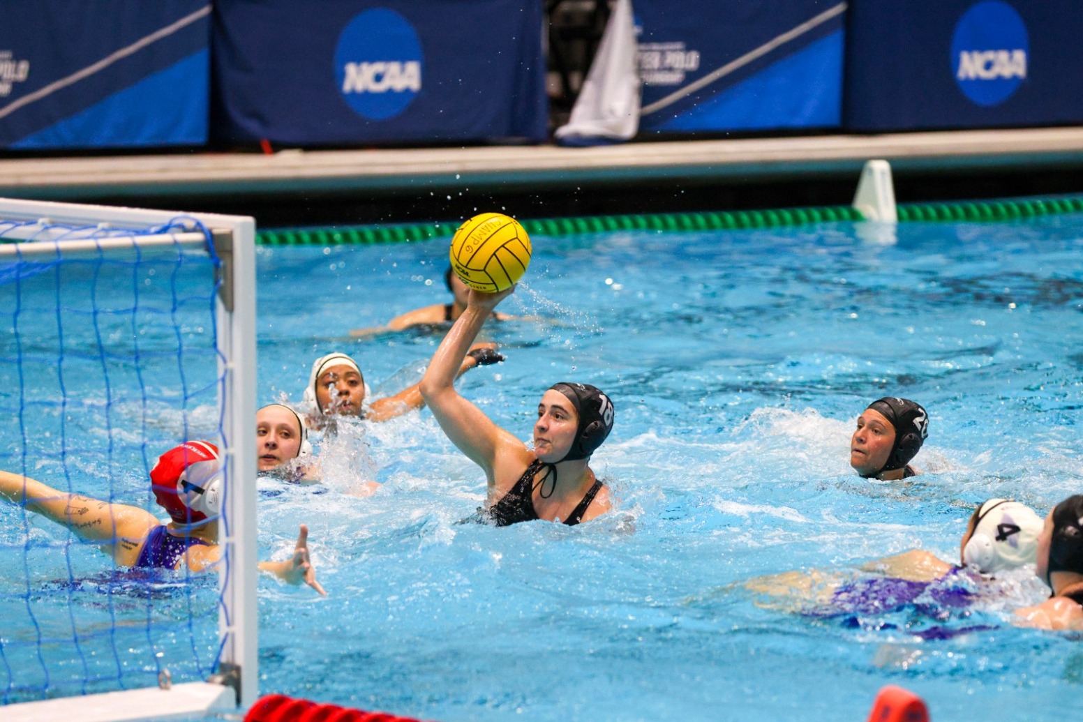 2026 WWP Season Preview