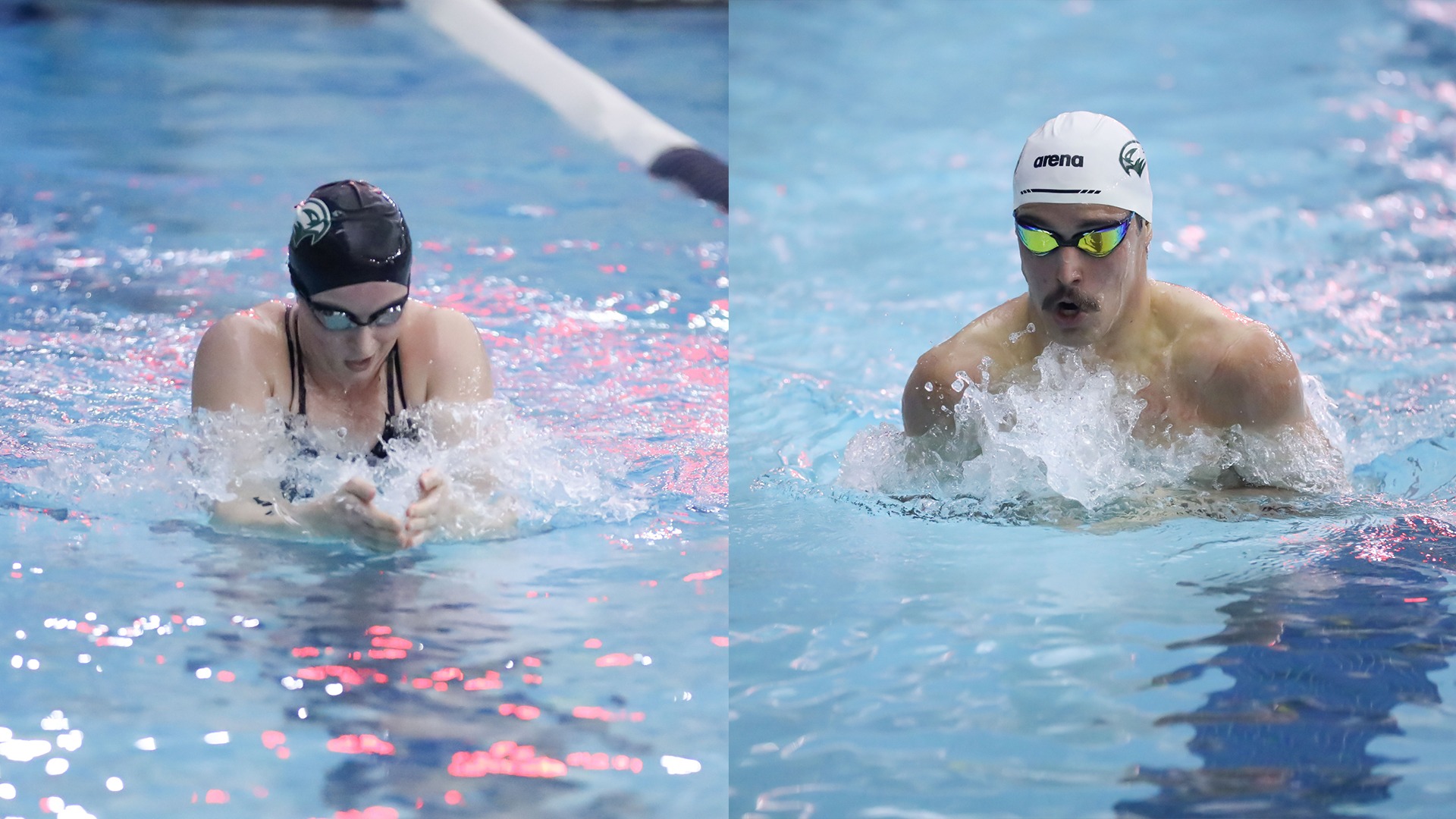 TWIWA - 1/5 - Swimming & Diving