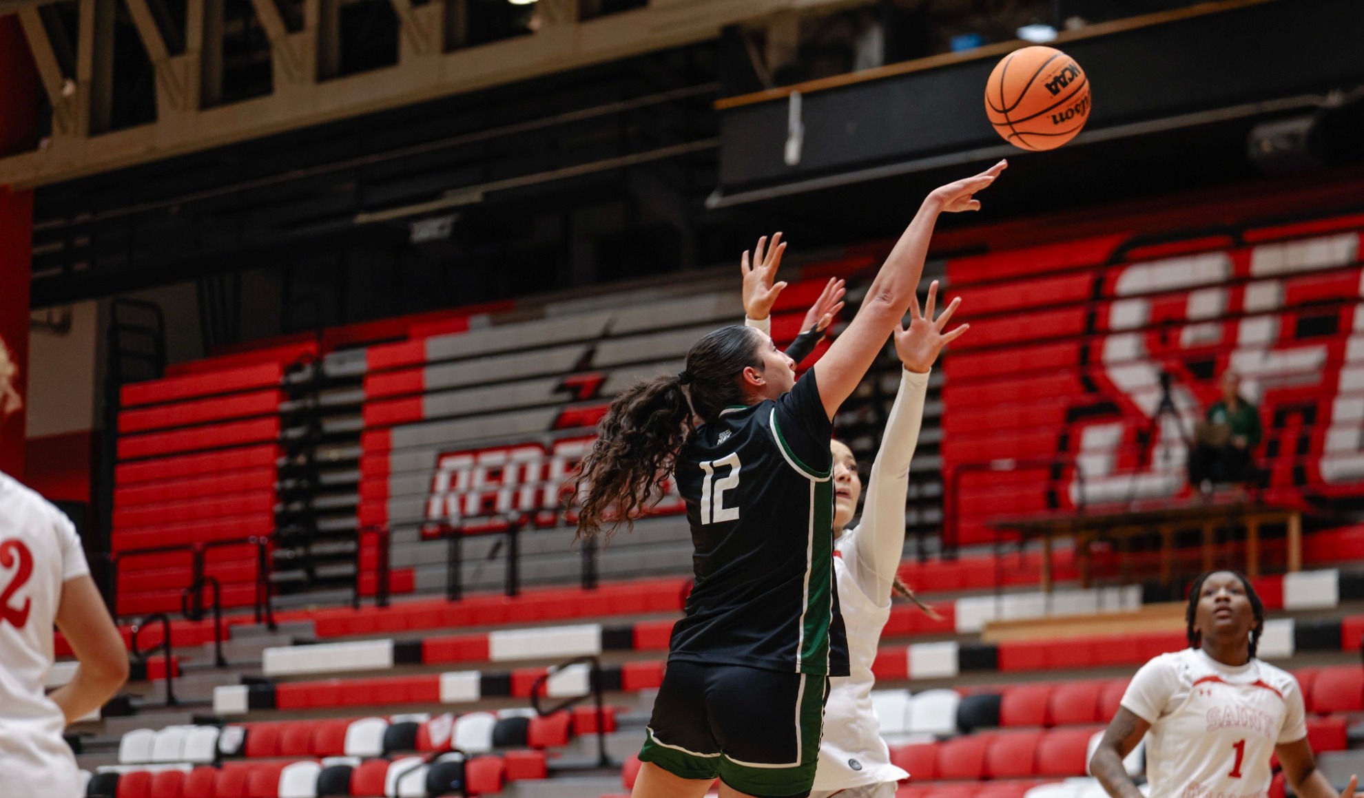 Irene Fernandez de Caleya