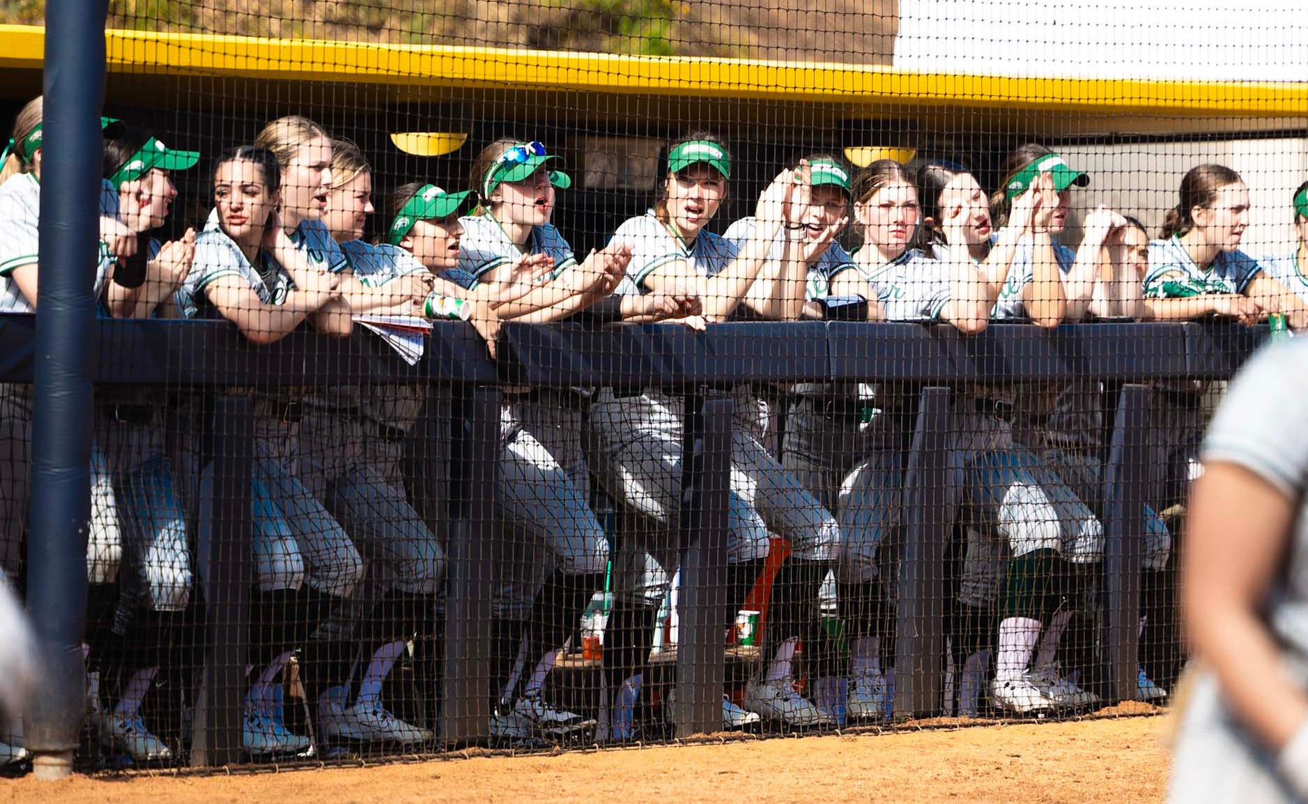 Softball in dugout @ UCSD (LJI)