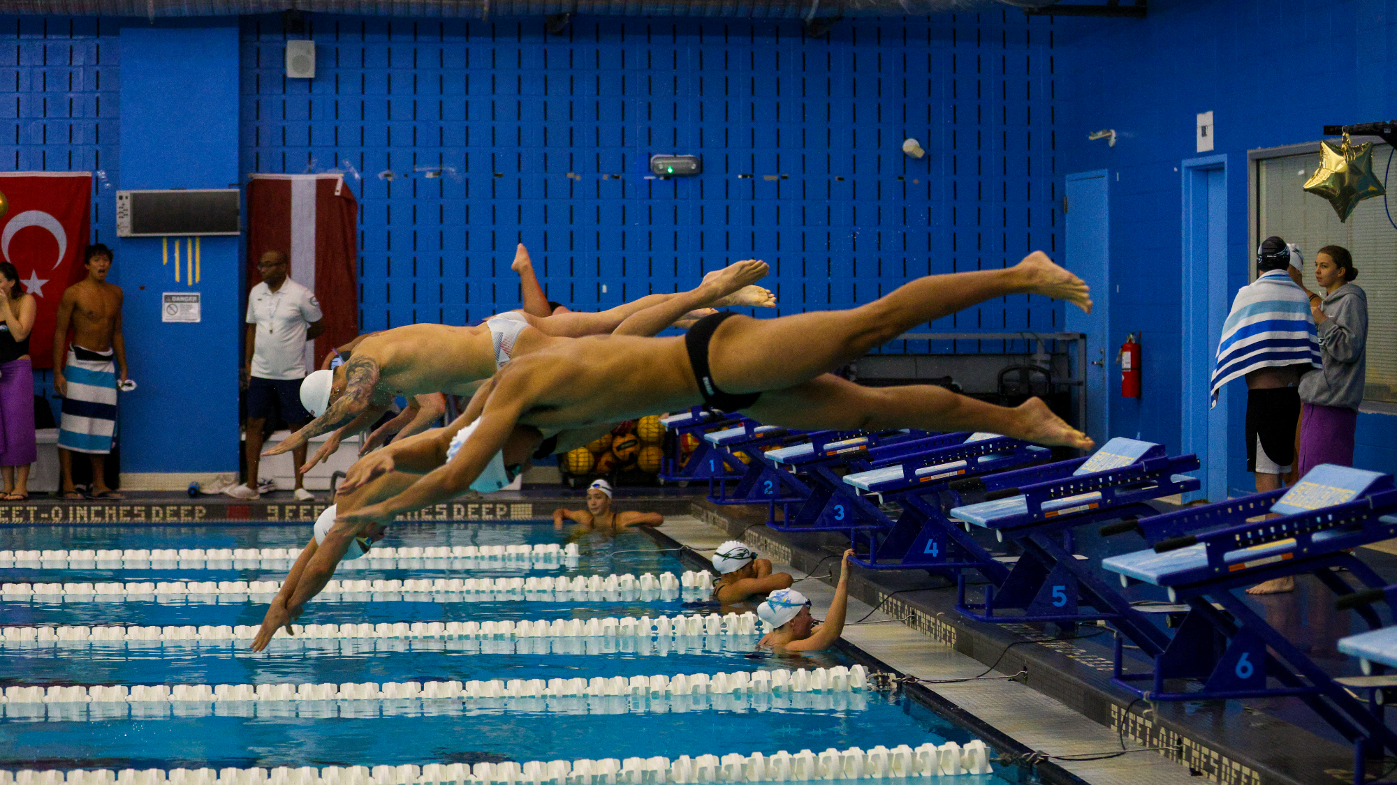 Diving into the LIU Pool