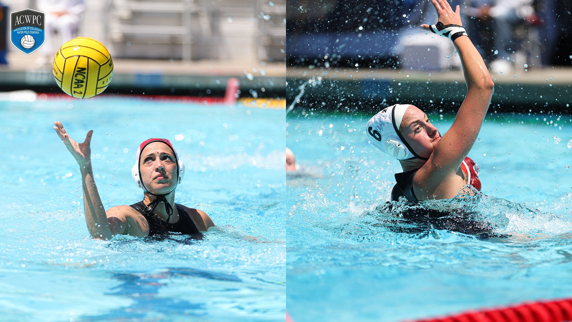 Magali Ogg and Francesca Sena Named ACWPC Honorable Mention All-Americans