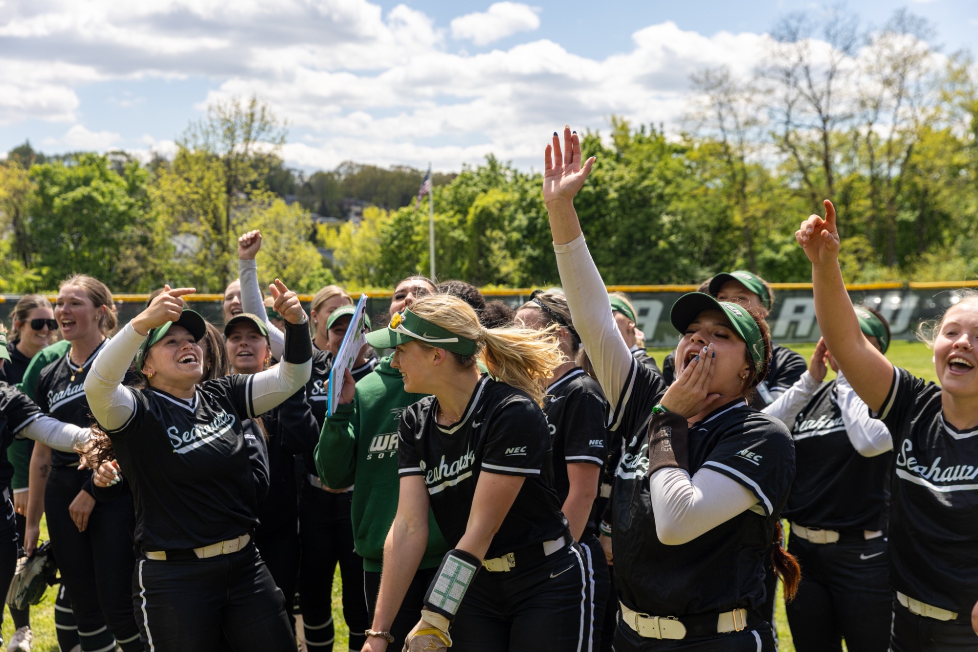 Softball Celebration Playoffs 2026
