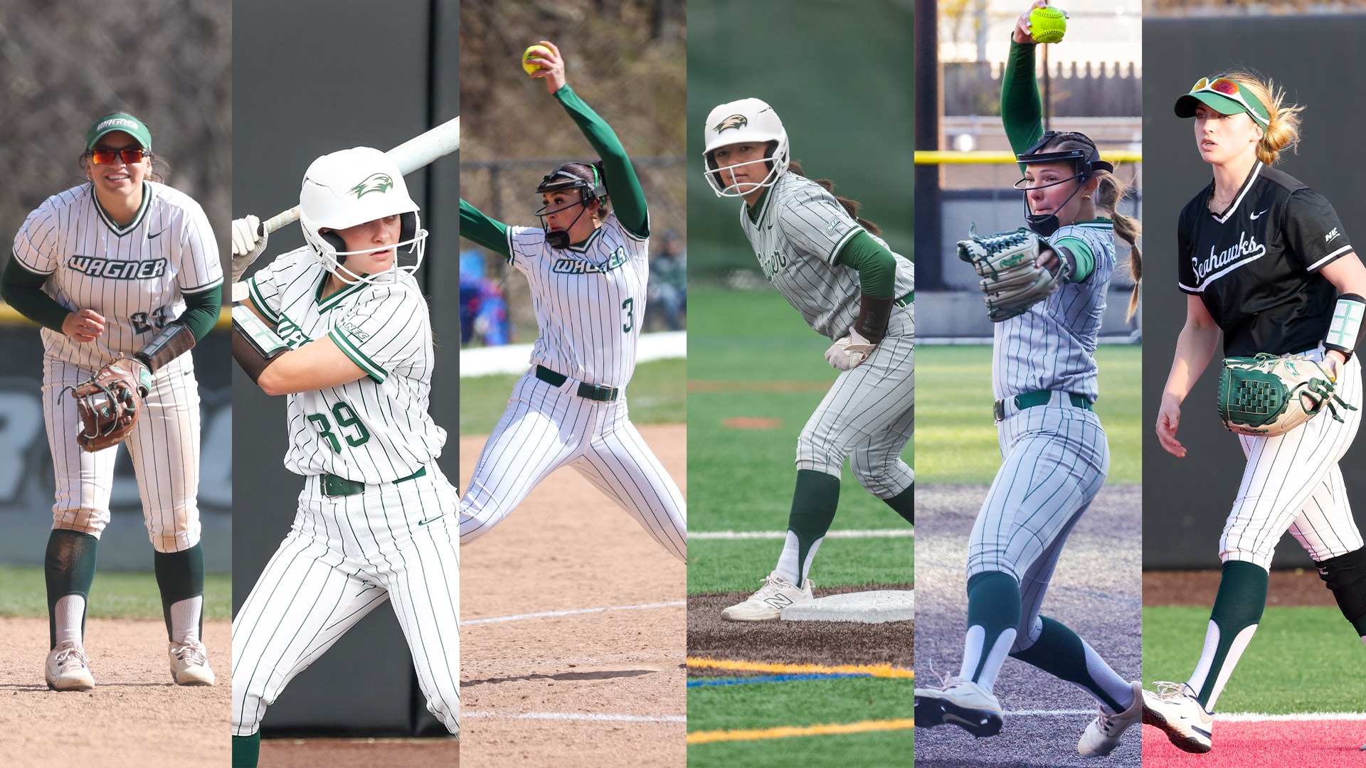 Softball All-NEC
