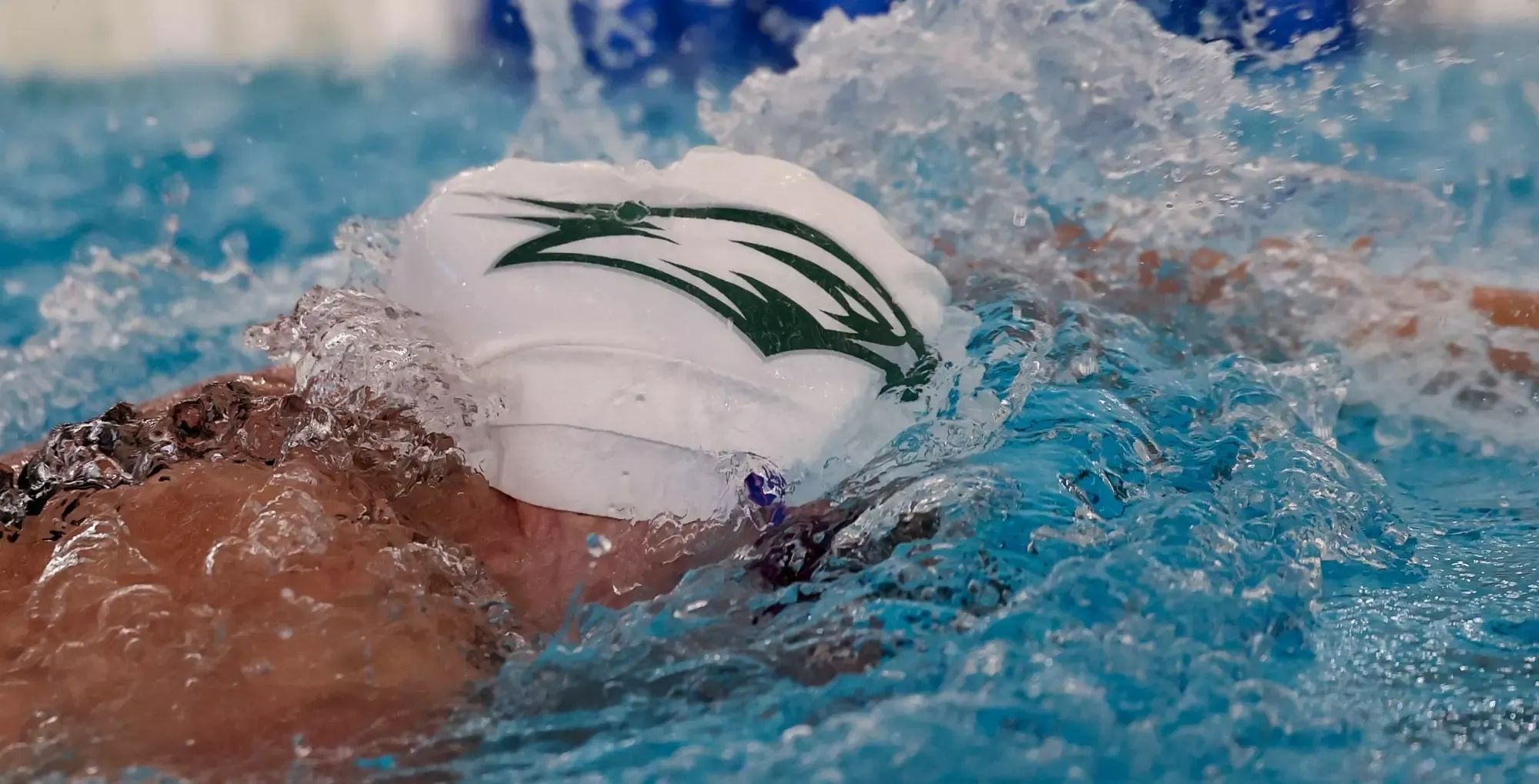 Wagner Swimming & Diving