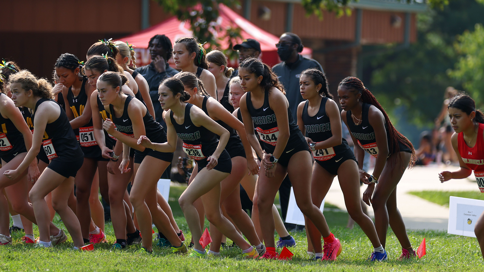 Women's cross country at the starting line for 2025 Back to the Bowl