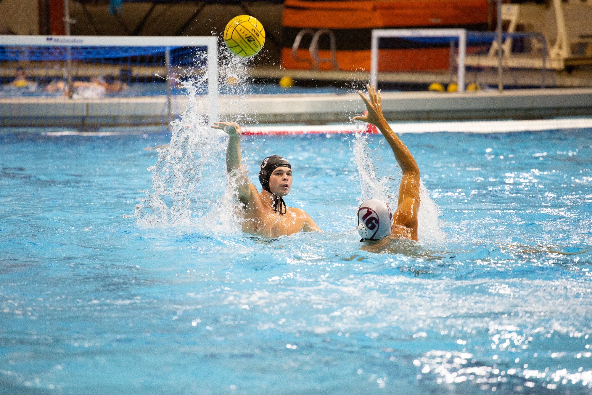 Men’s Water Polo Battles Three Top-20 Opponents at Princeton Invite
