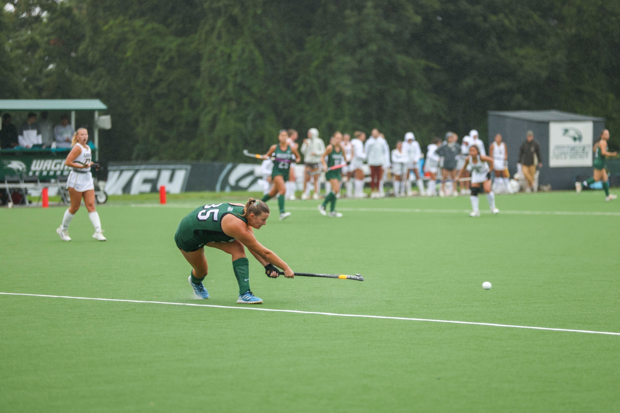 Julia de Leeuw