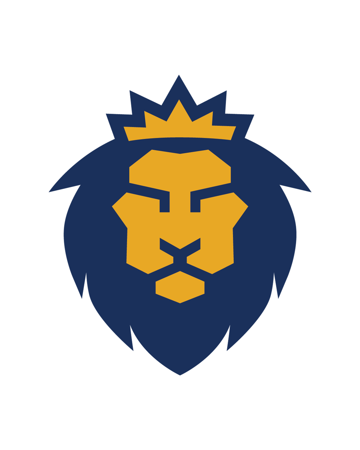 Head Shot Replacement