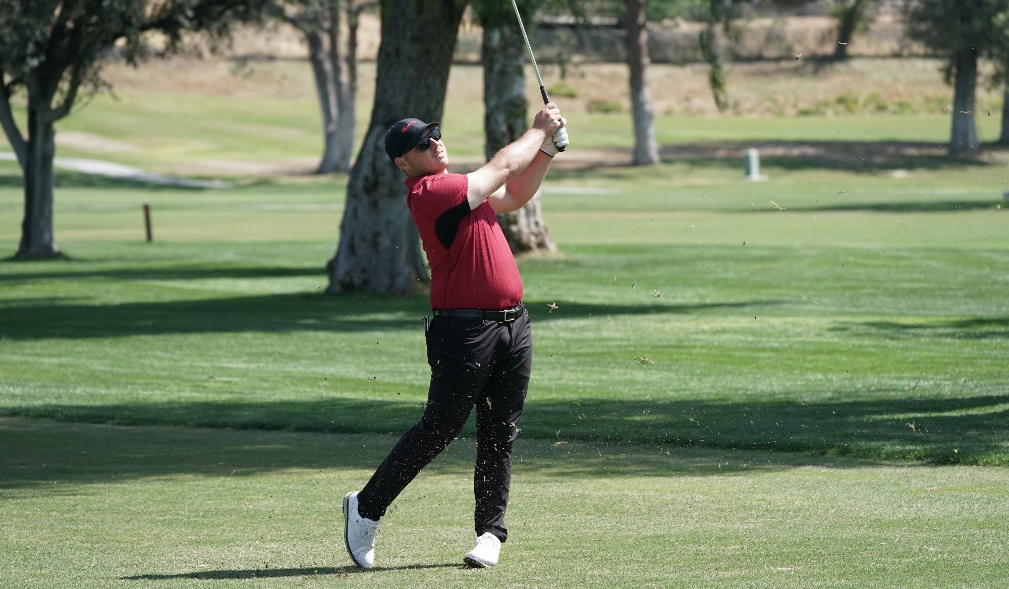 Chris Chomyn Men's Golf Stanislaus State Athletics
