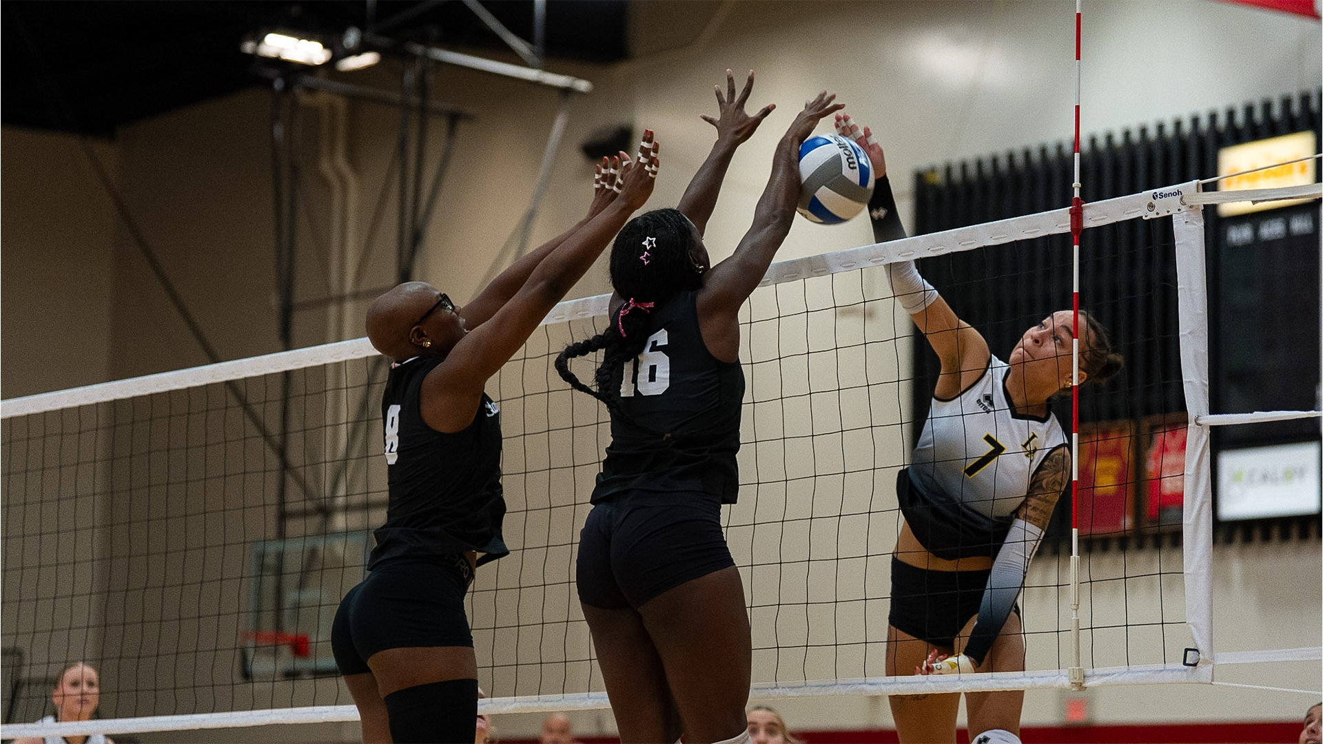 Soraya Forbes and Laila Greene action shots