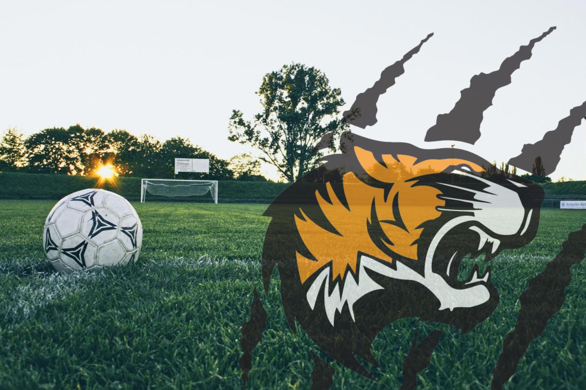 Warsaw Soccer Website Graphic
