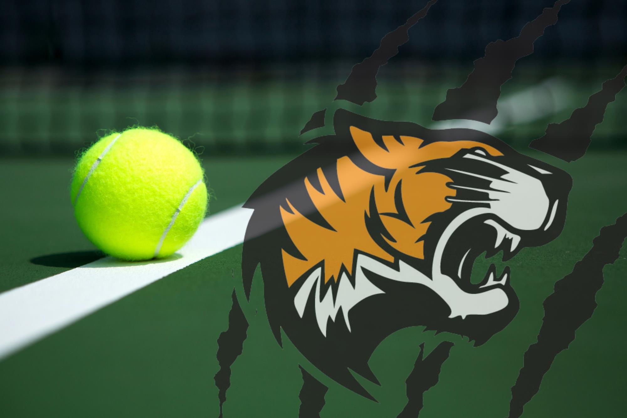 Warsaw Tennis Website Graphic