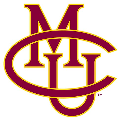 Opponent Logo