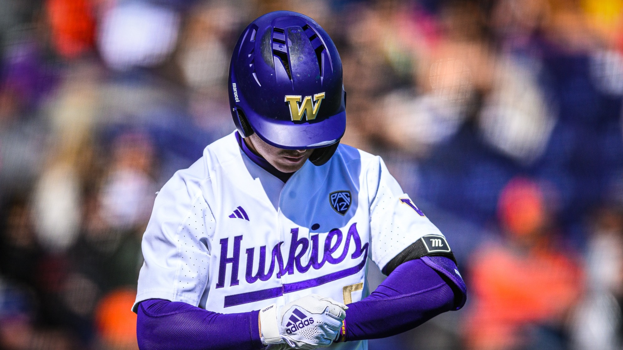 Cole Miller Baseball University of Washington Athletics