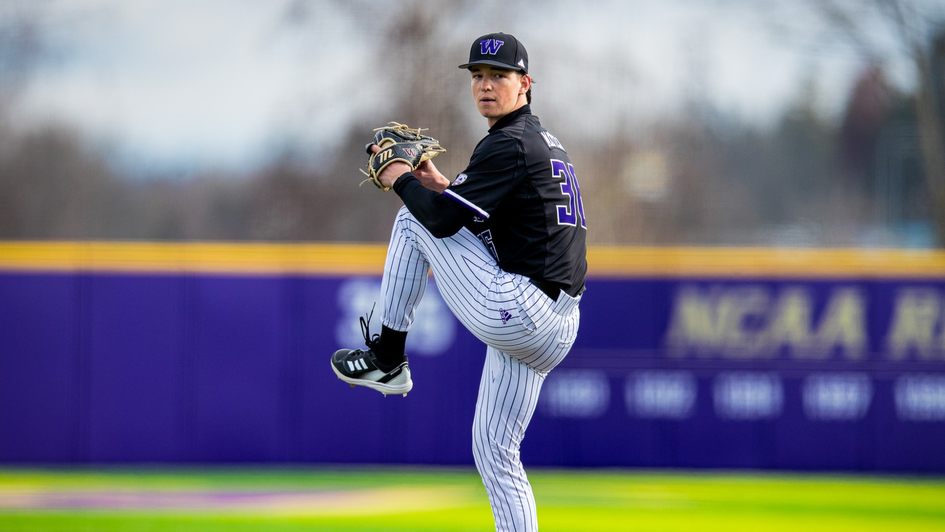 Case Matter Baseball University of Washington Athletics