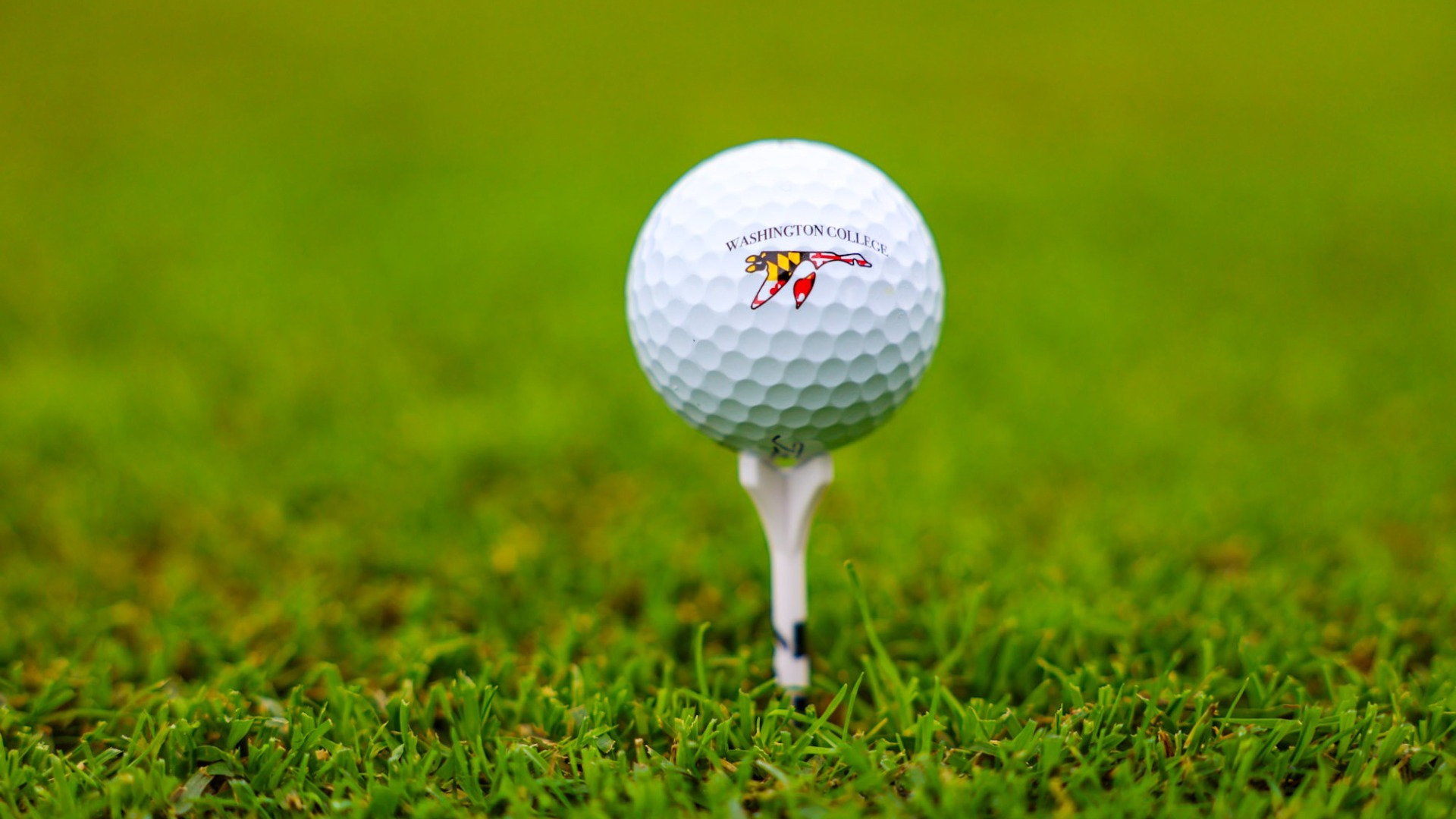 Mens Golf 