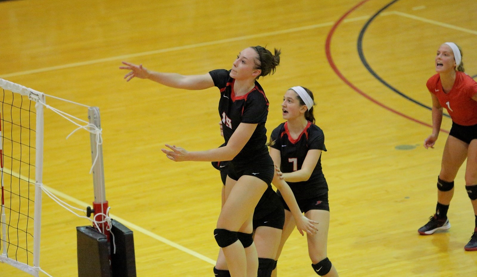 Taylor Freeman Volleyball Washington & Jefferson College Athletics