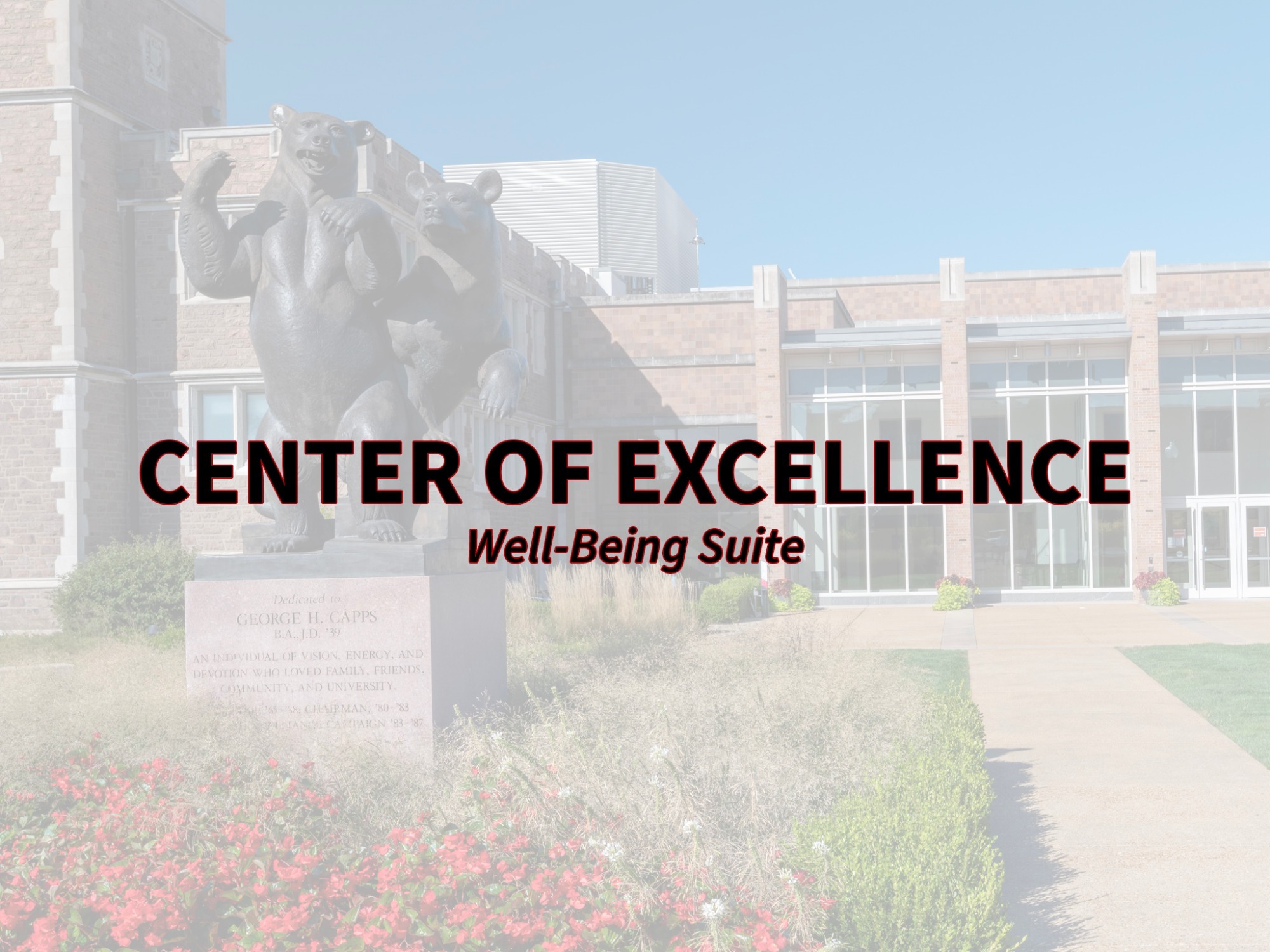 COE Well-Being Suite