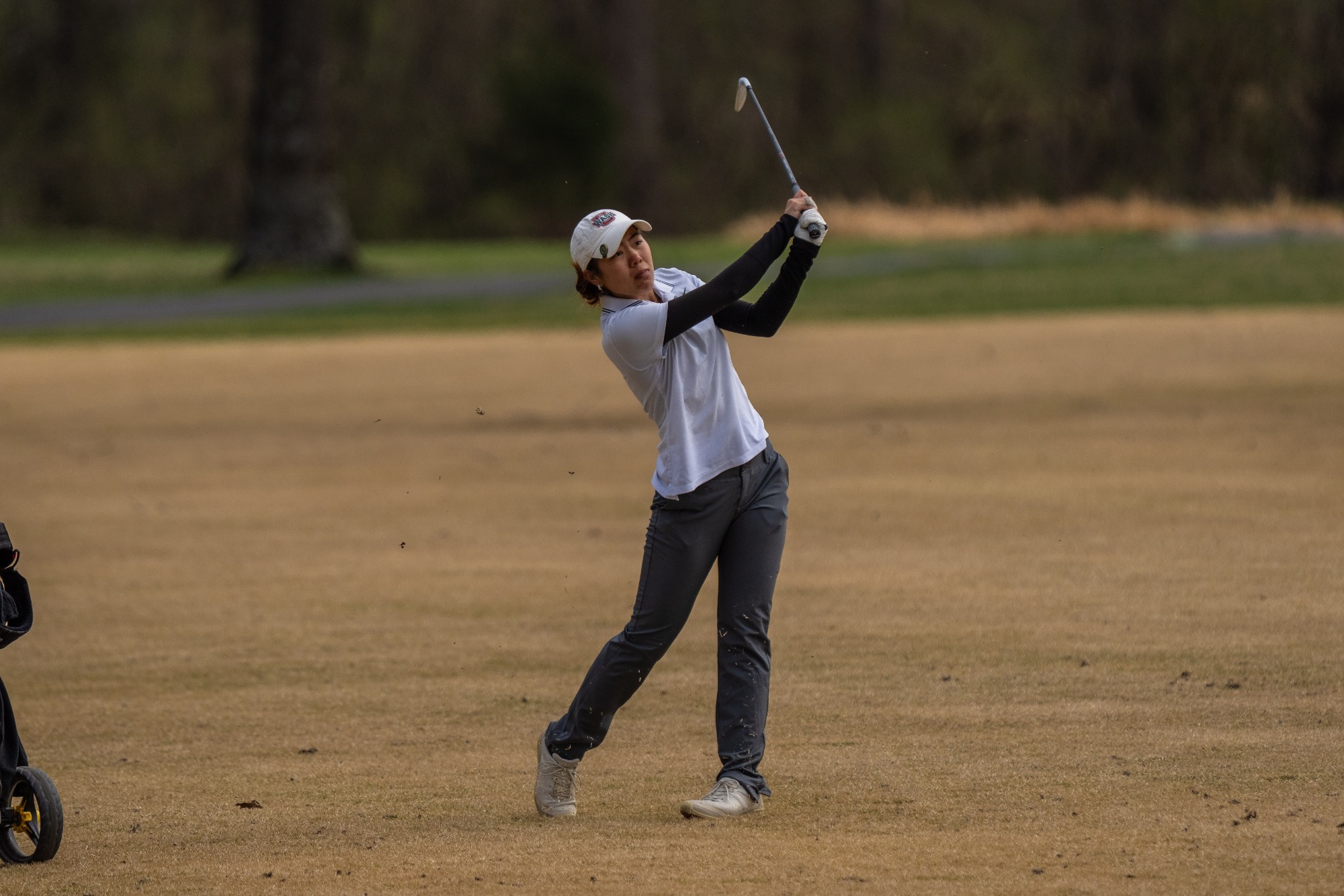 Athena Nguyen - used 10.6.25