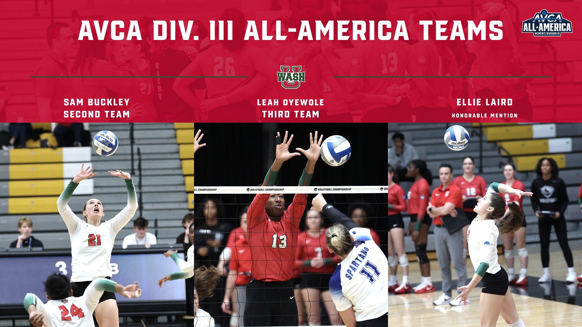 25 AVCA All-Americans