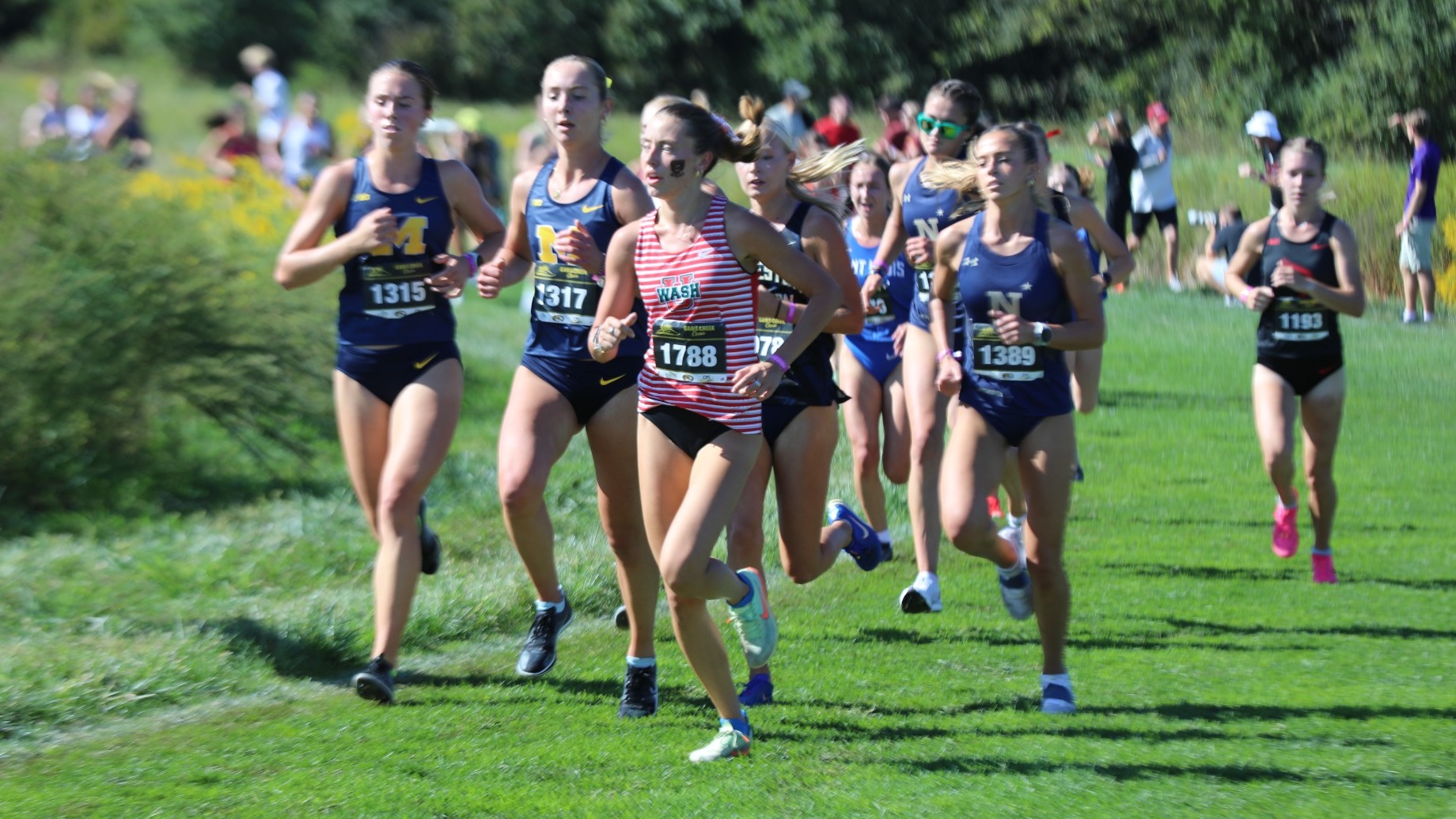 Laughlin - Gans Creek