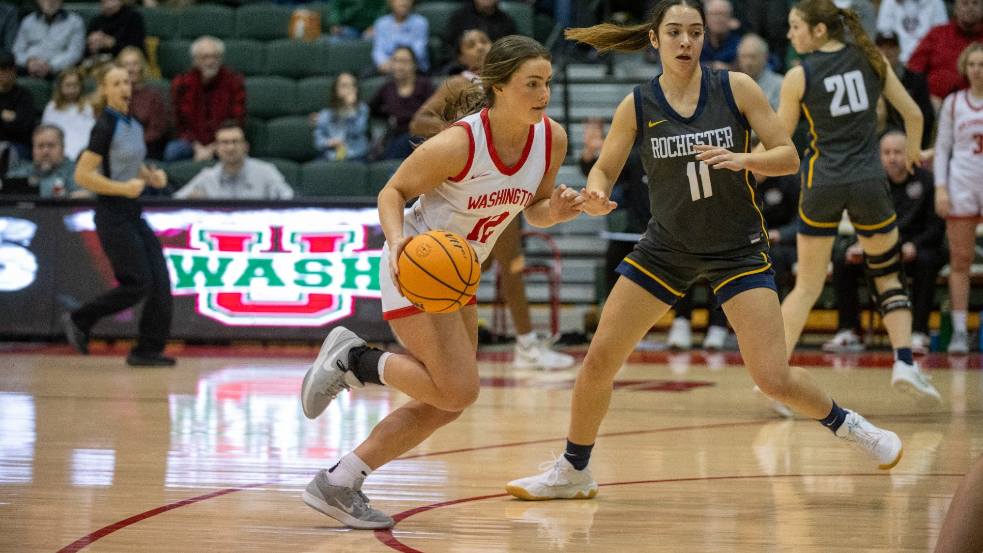 Goodwin vs. Rochester