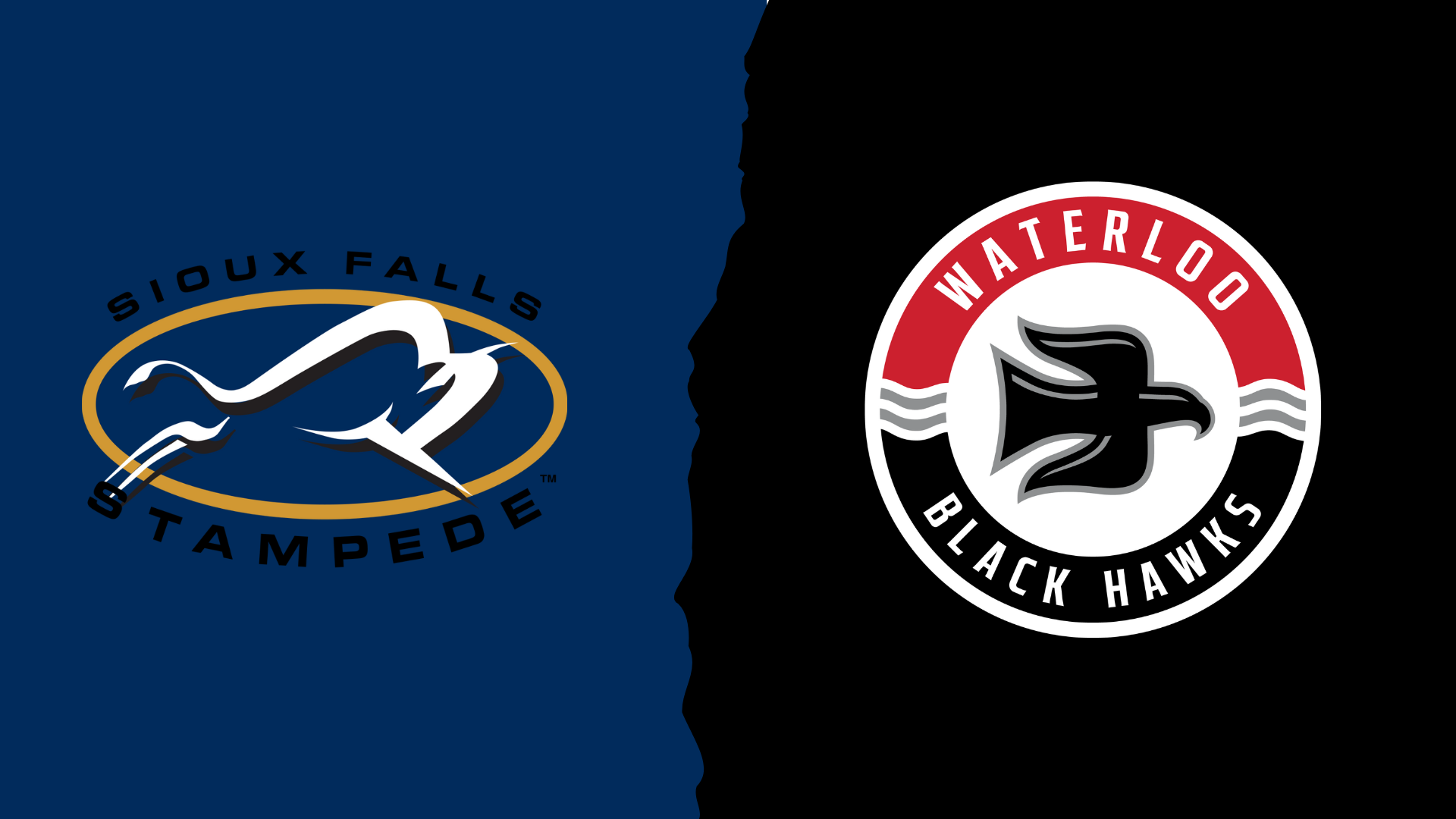 Black Hawks vs. Sioux Falls