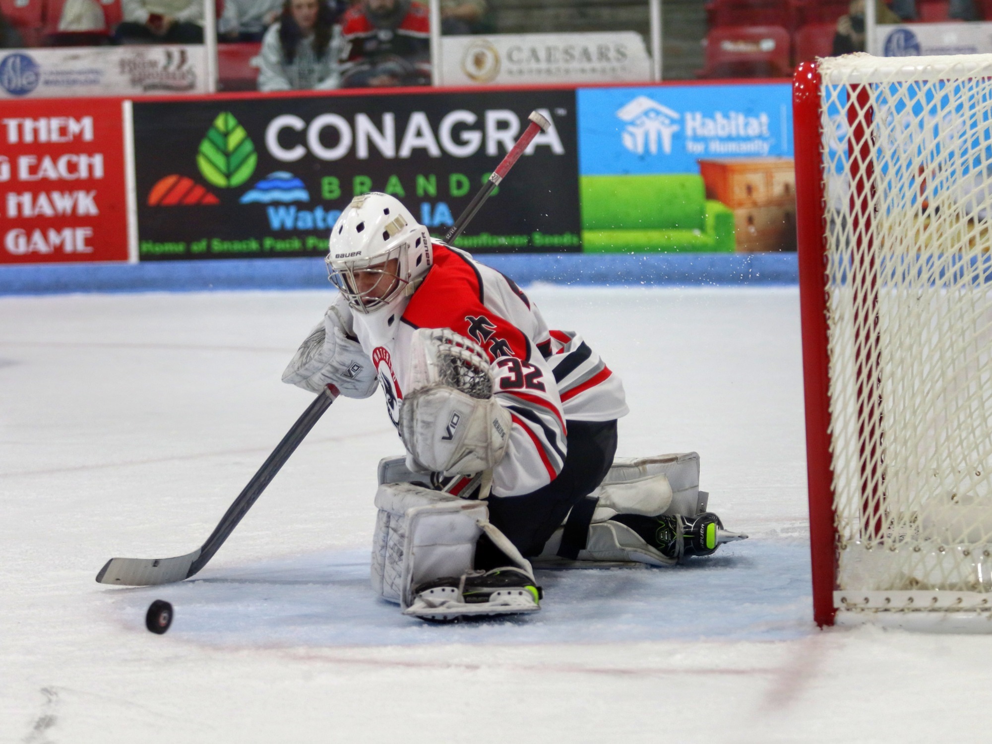 Vachon is Goalie of the Week Waterloo Black Hawks